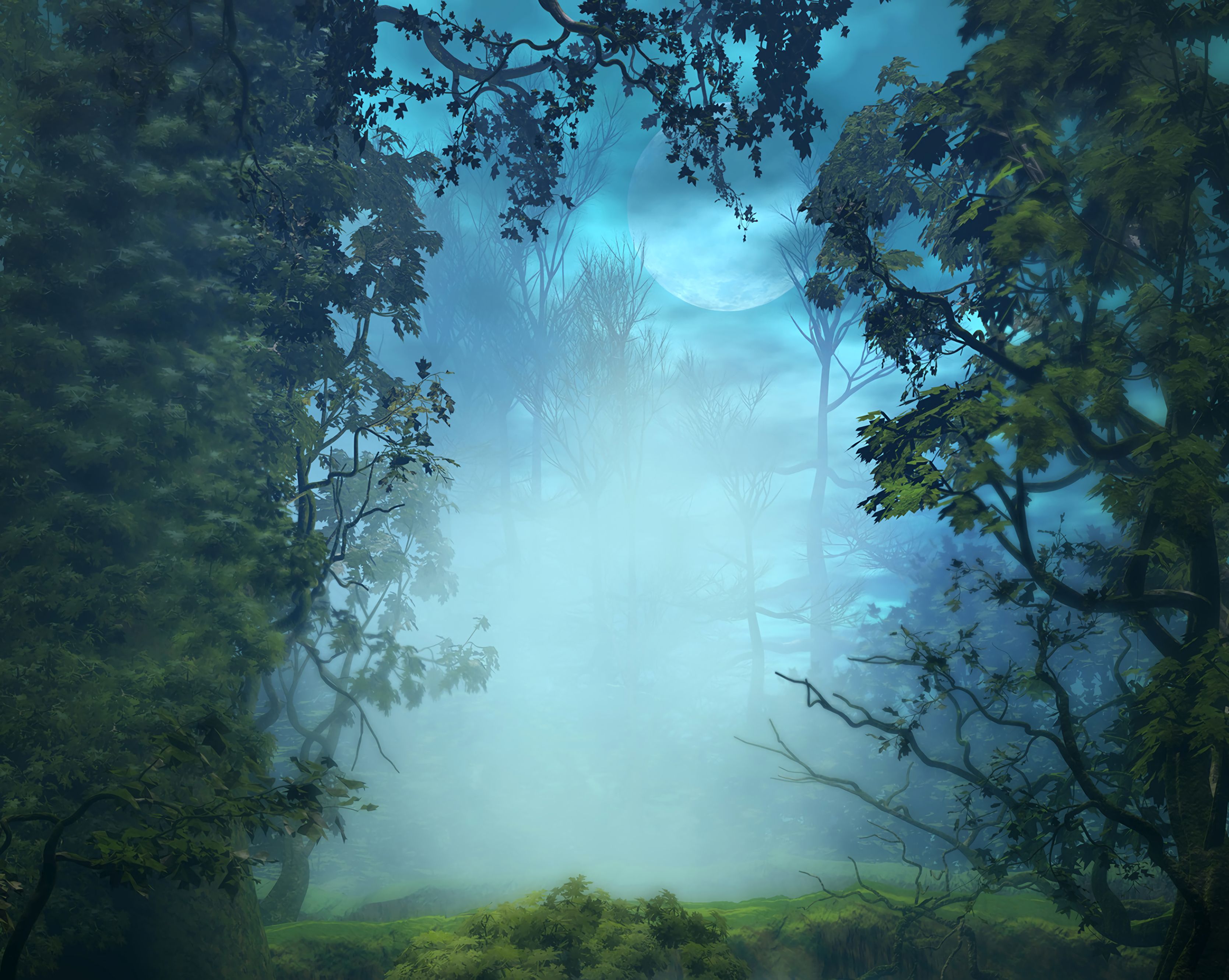 Download mobile wallpaper Fog, Forest, Branches, Trees, Art, Nature for free.