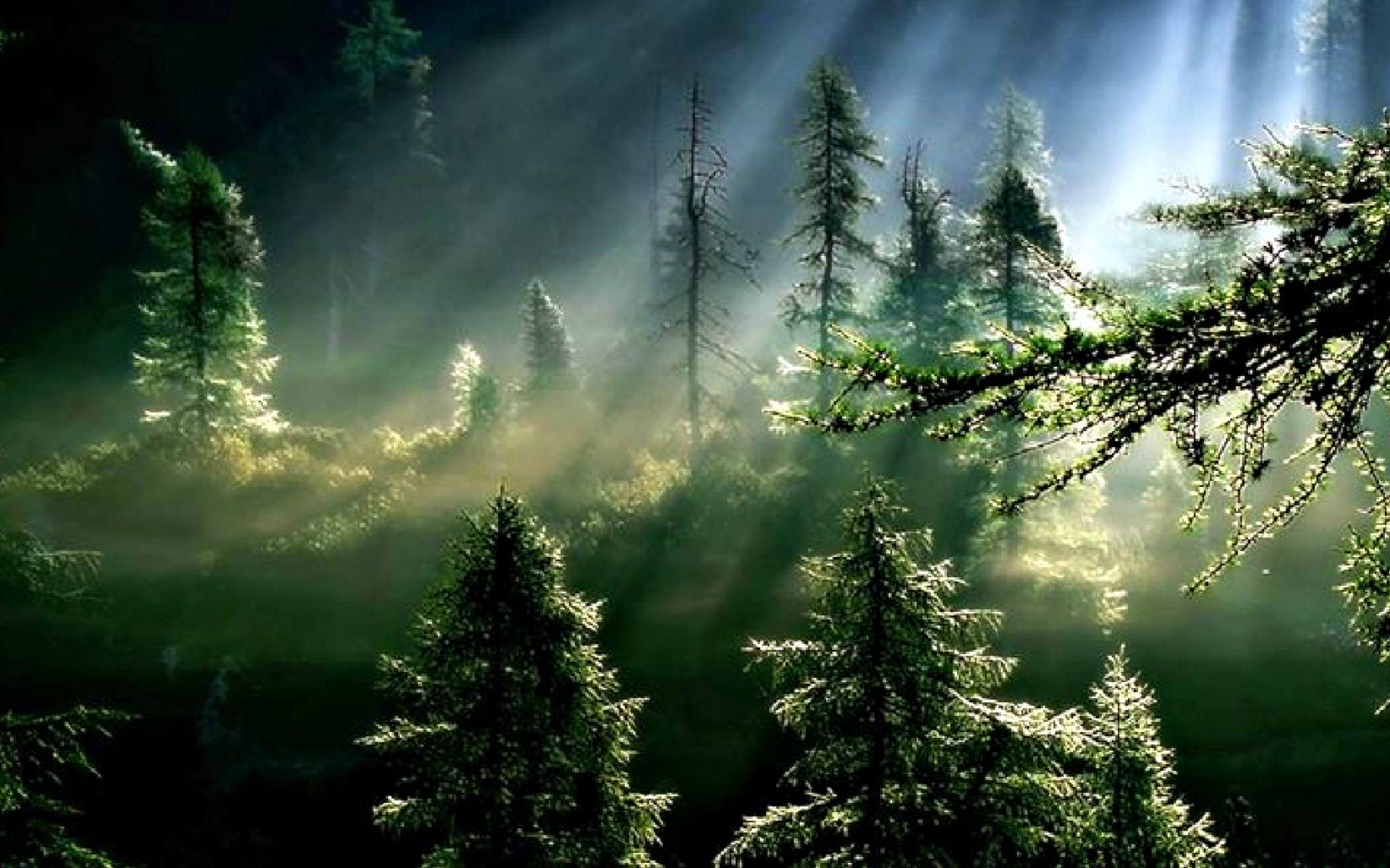 Free download wallpaper Earth, Sunbeam on your PC desktop