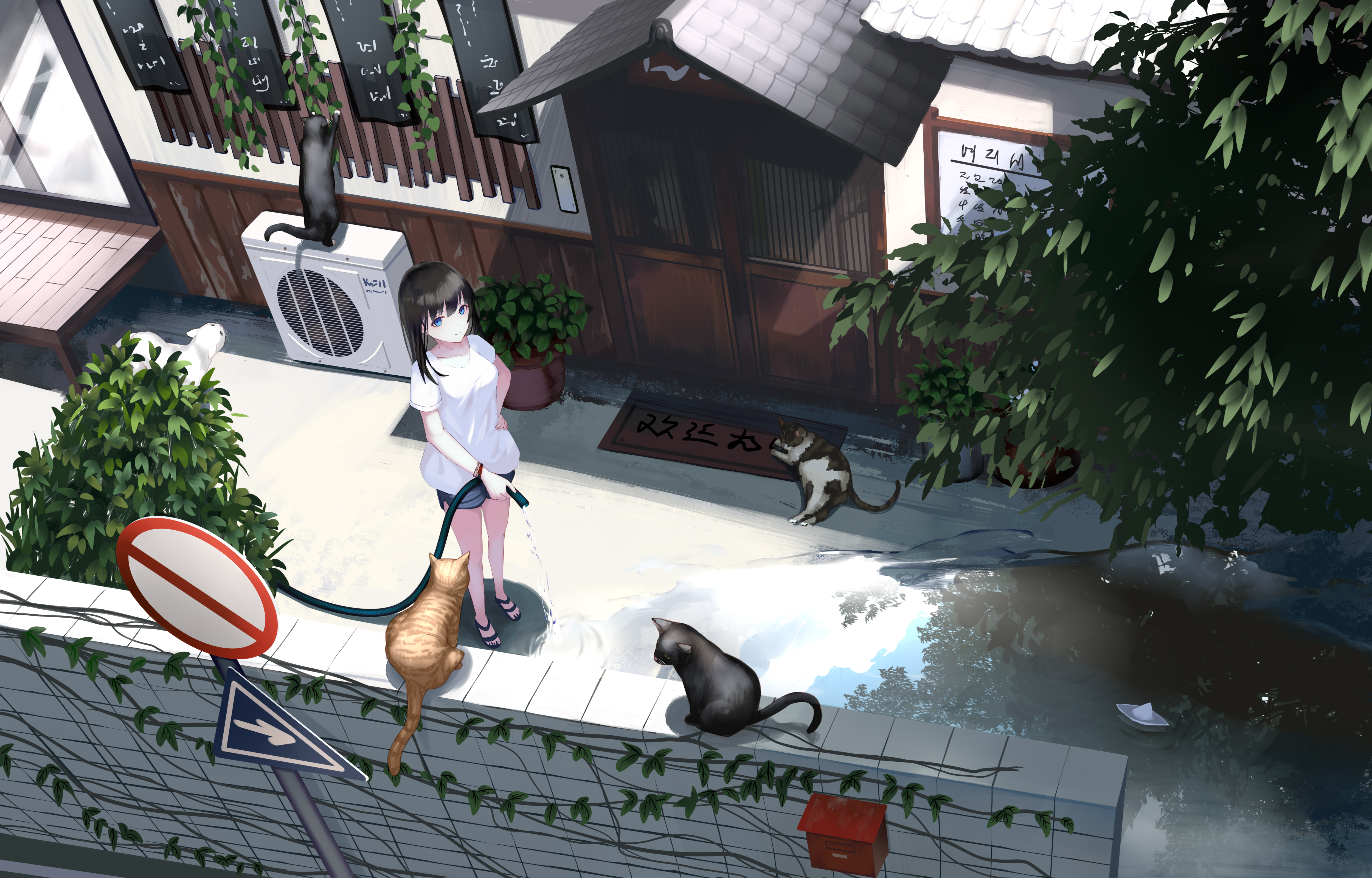 Baixe gratuitamente a imagem Anime, Gato, Garota, Cabelo Preto na área de trabalho do seu PC