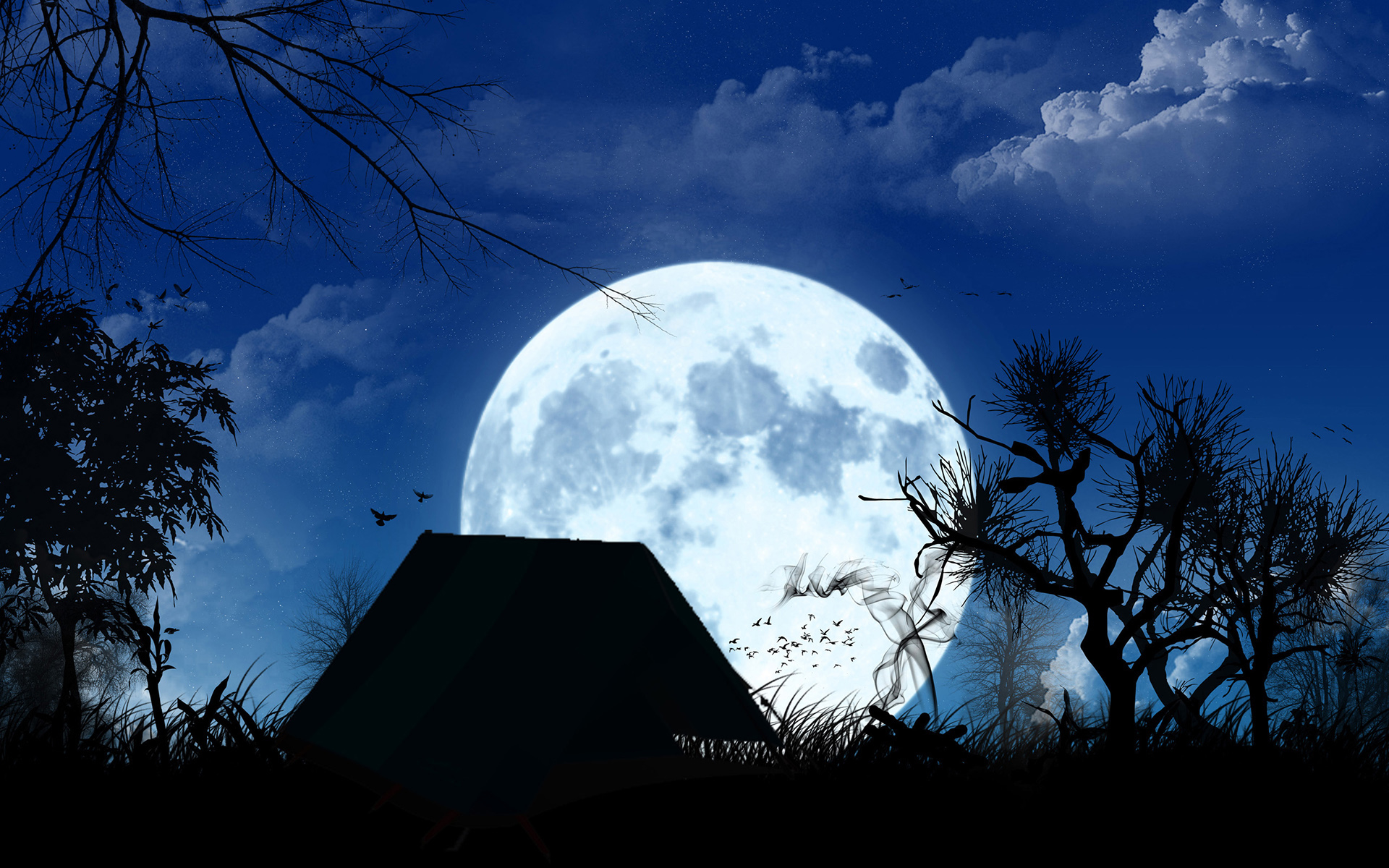 Free download wallpaper Sky, Moon, Silhouette, Earth, Evening, Artistic on your PC desktop