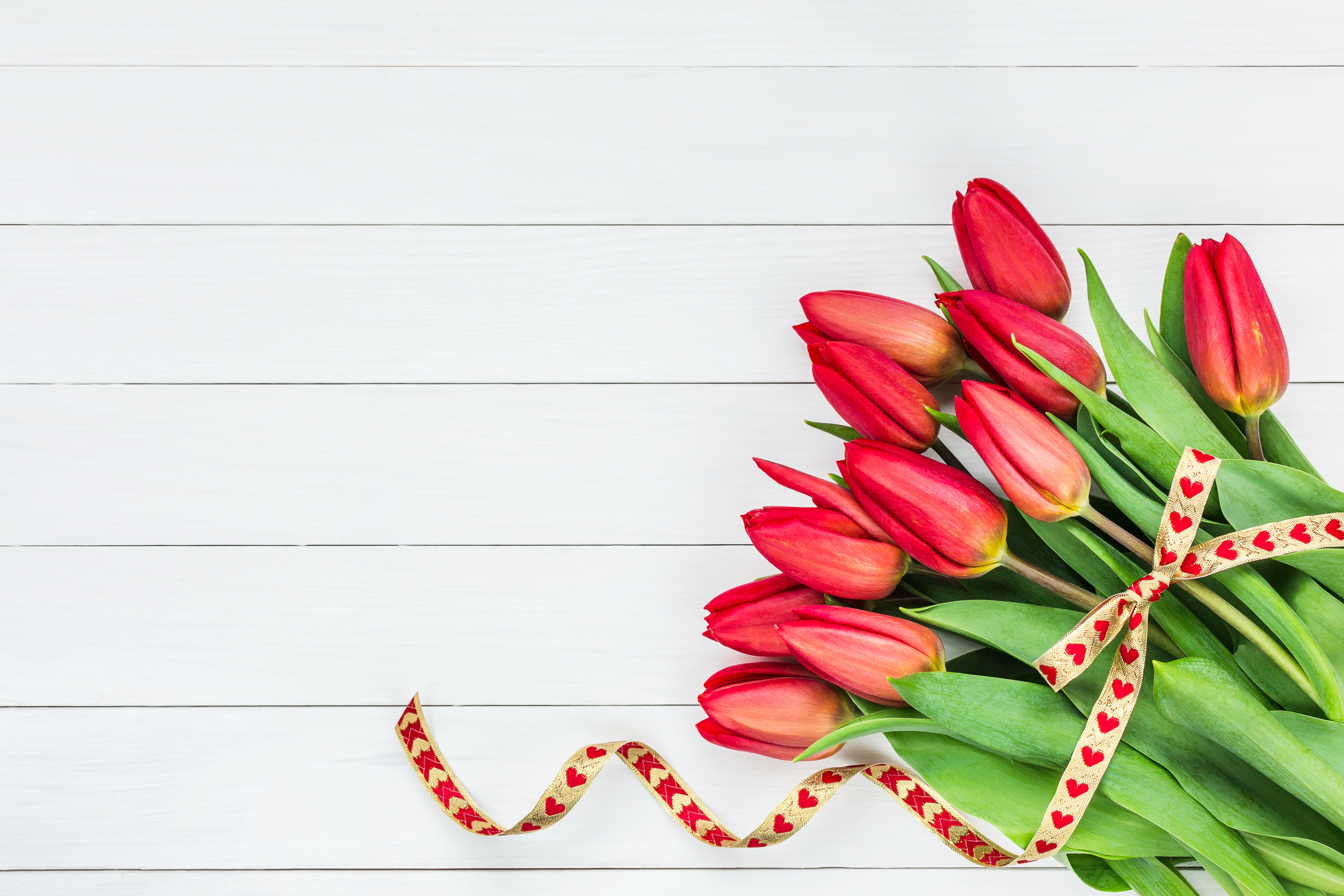 Handy-Wallpaper Blume, Tulpe, Rote Blume, Menschengemacht, Stillleben kostenlos herunterladen.