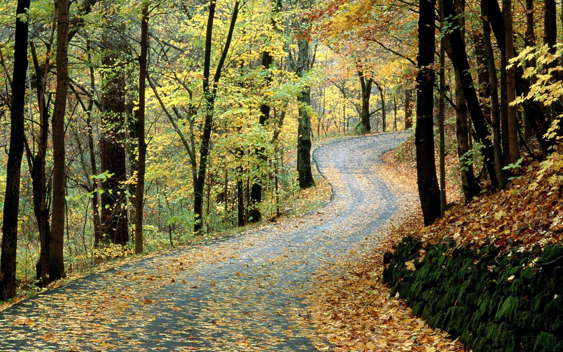 Free download wallpaper Nature, Road, Man Made on your PC desktop