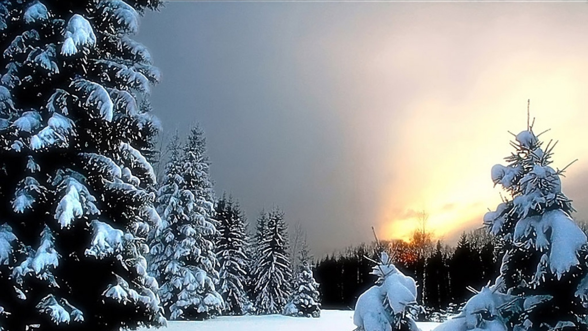 Téléchargez gratuitement l'image Hiver, Terre/nature sur le bureau de votre PC