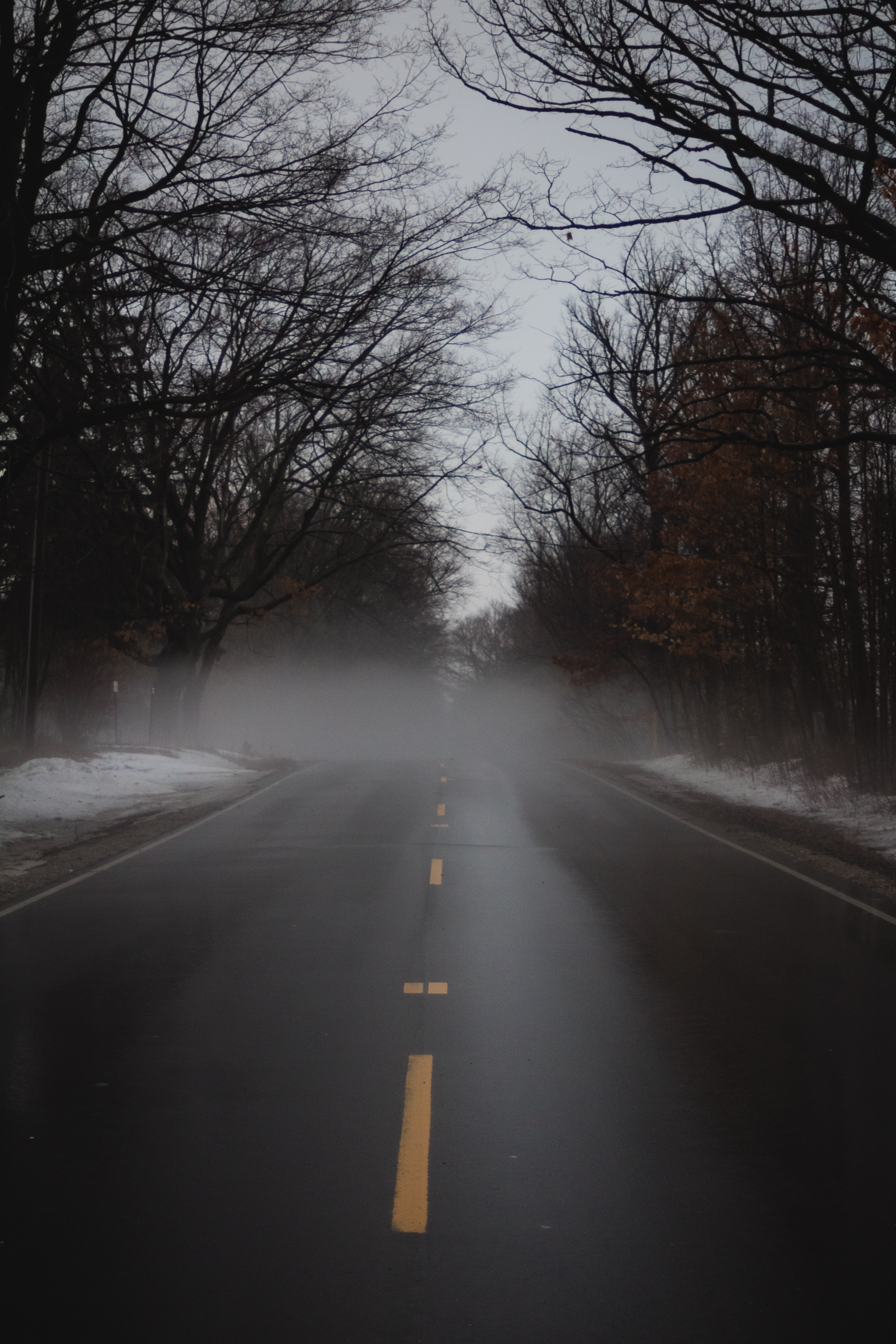 Free download wallpaper Road, Fog, Nature, Trees, Alley on your PC desktop