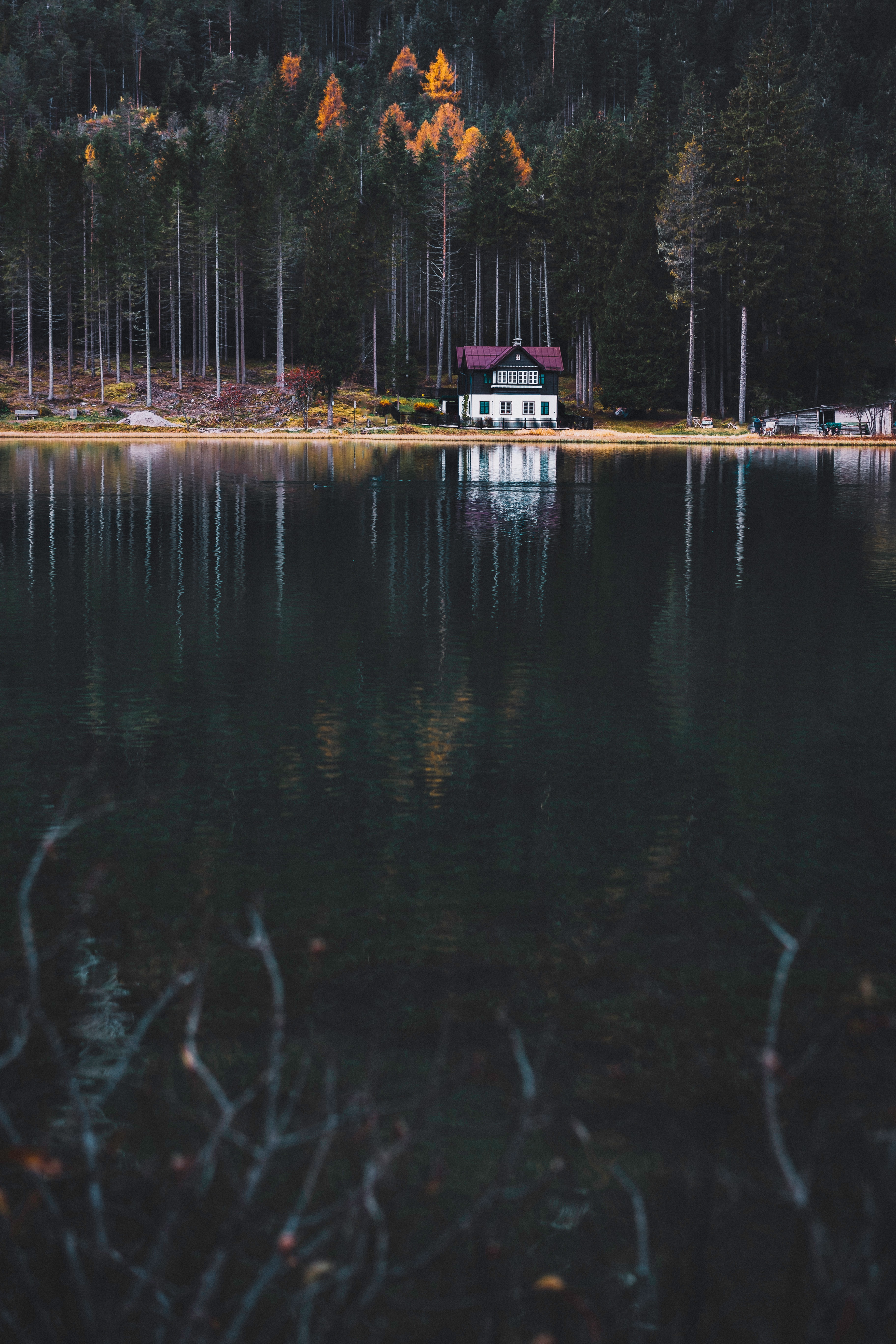 nature, lake, shore, bank, forest, house cell phone wallpapers