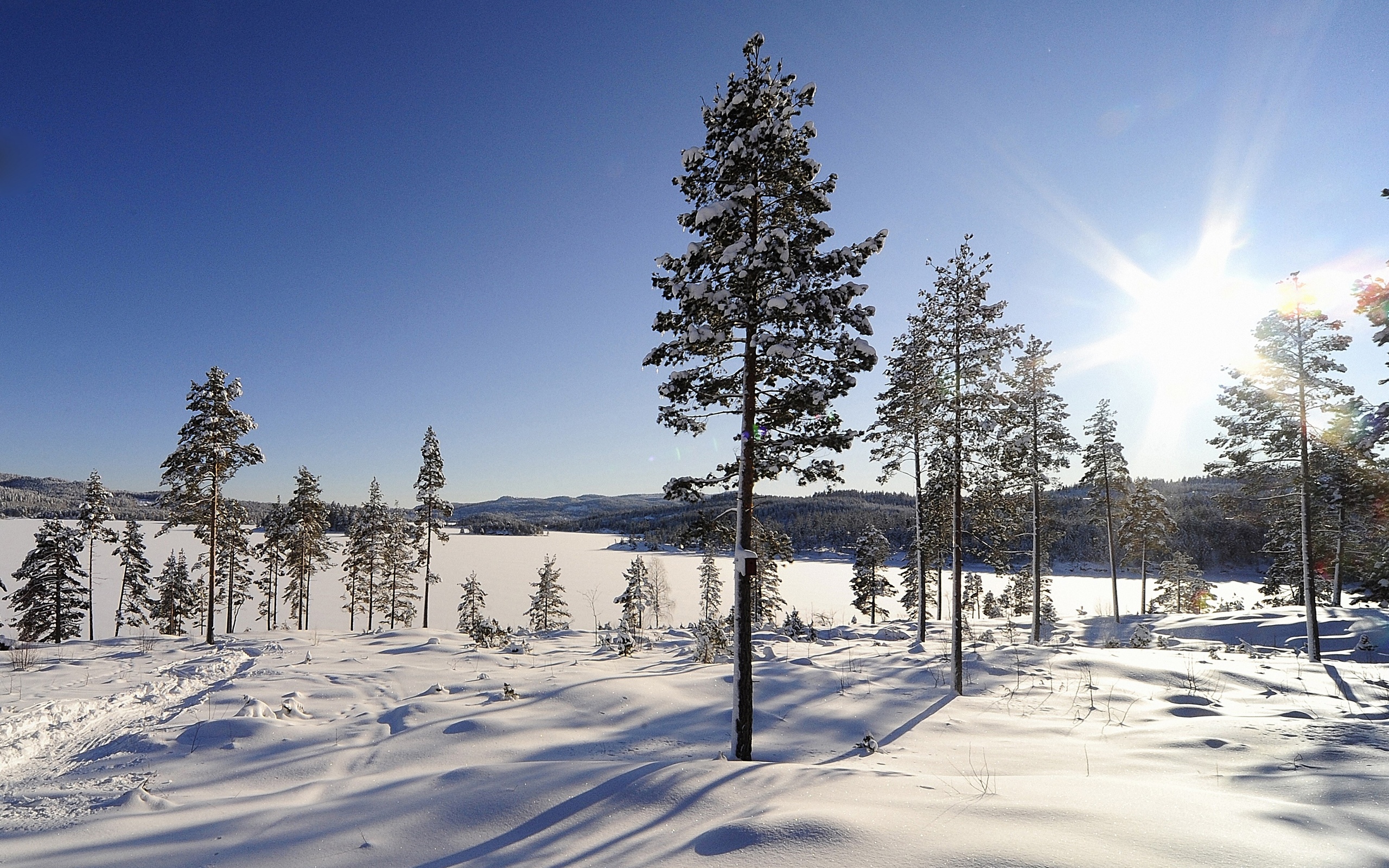 Téléchargez gratuitement l'image Hiver, Terre/nature sur le bureau de votre PC