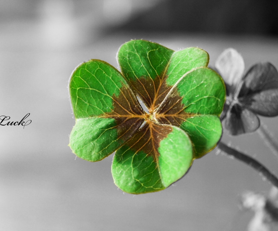 Free download wallpaper Holiday, St Patrick's Day on your PC desktop