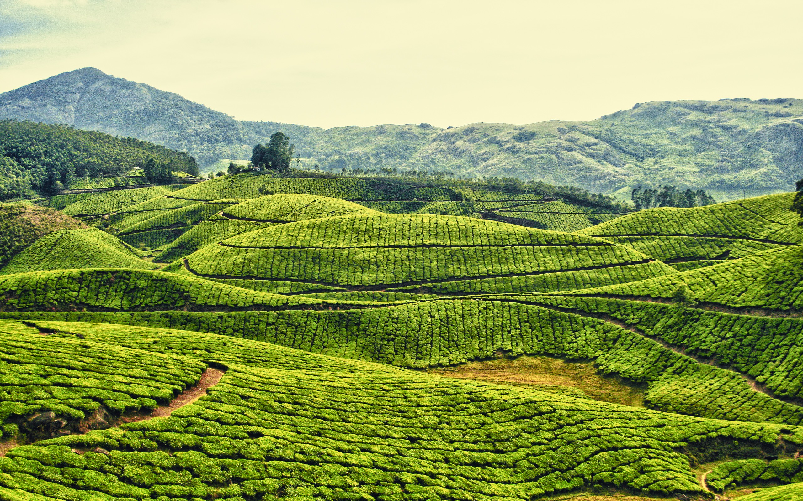 Laden Sie das Landschaft, Erde/natur-Bild kostenlos auf Ihren PC-Desktop herunter