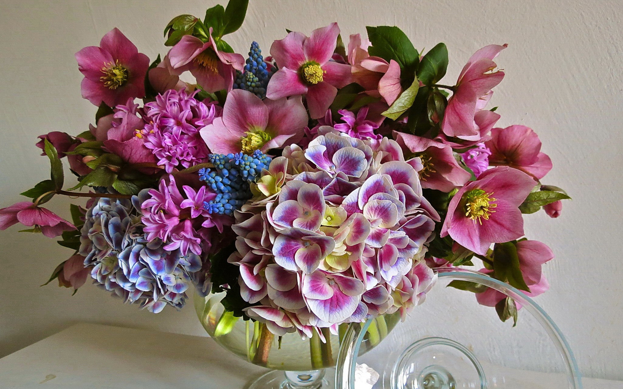 Laden Sie das Blume, Farben, Glas, Schüssel, Bunt, Fotografie, Hortensien, Pinke Blume, Stillleben-Bild kostenlos auf Ihren PC-Desktop herunter