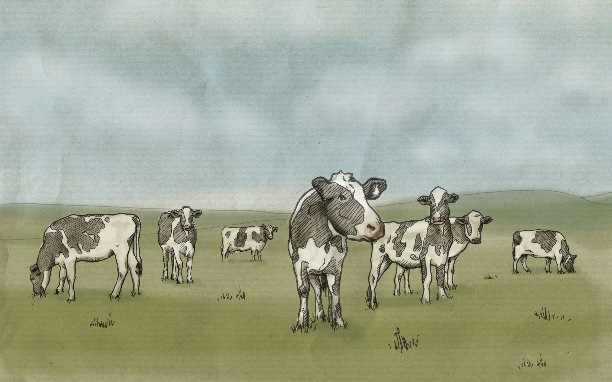141154 скачать картинку арт, рисунок, коровы, луг, молоко - обои и заставки бесплатно