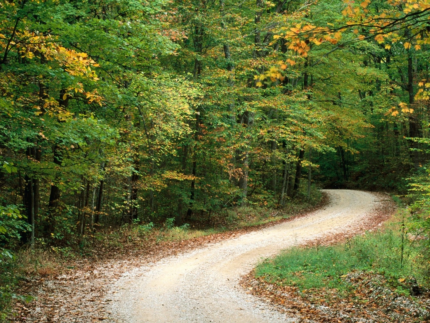 Handy-Wallpaper Roads, Landschaft, Bäume, Herbst kostenlos herunterladen.