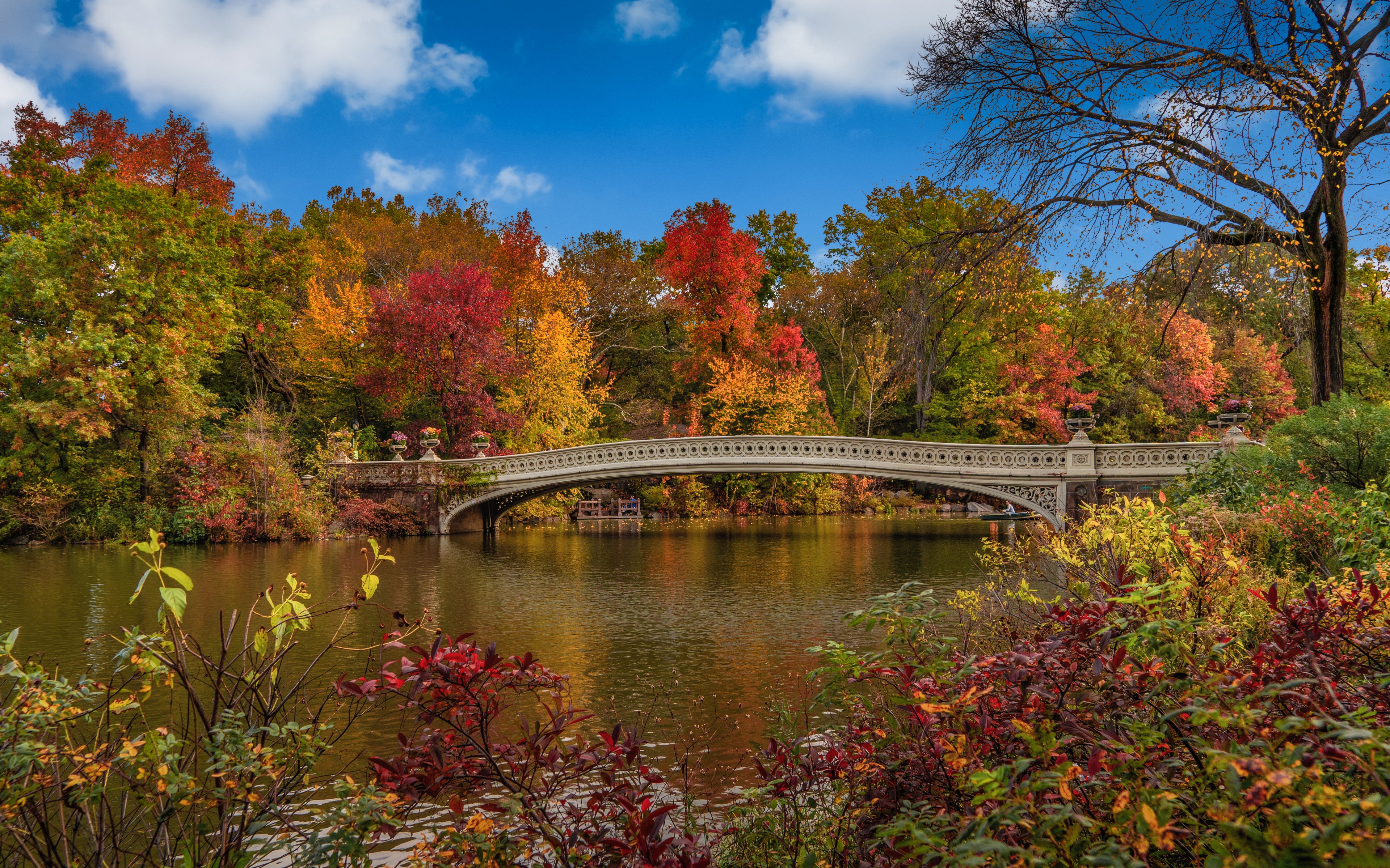 Скачать обои бесплатно Осень, Мост, Сша, Нью Йорк, Центральный Парк, Сделано Человеком картинка на рабочий стол ПК