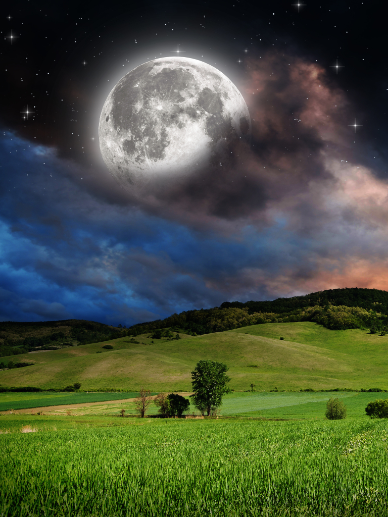 Download mobile wallpaper Sky, Stars, Moon, Starry Sky, Earth, Field, Meadow for free.