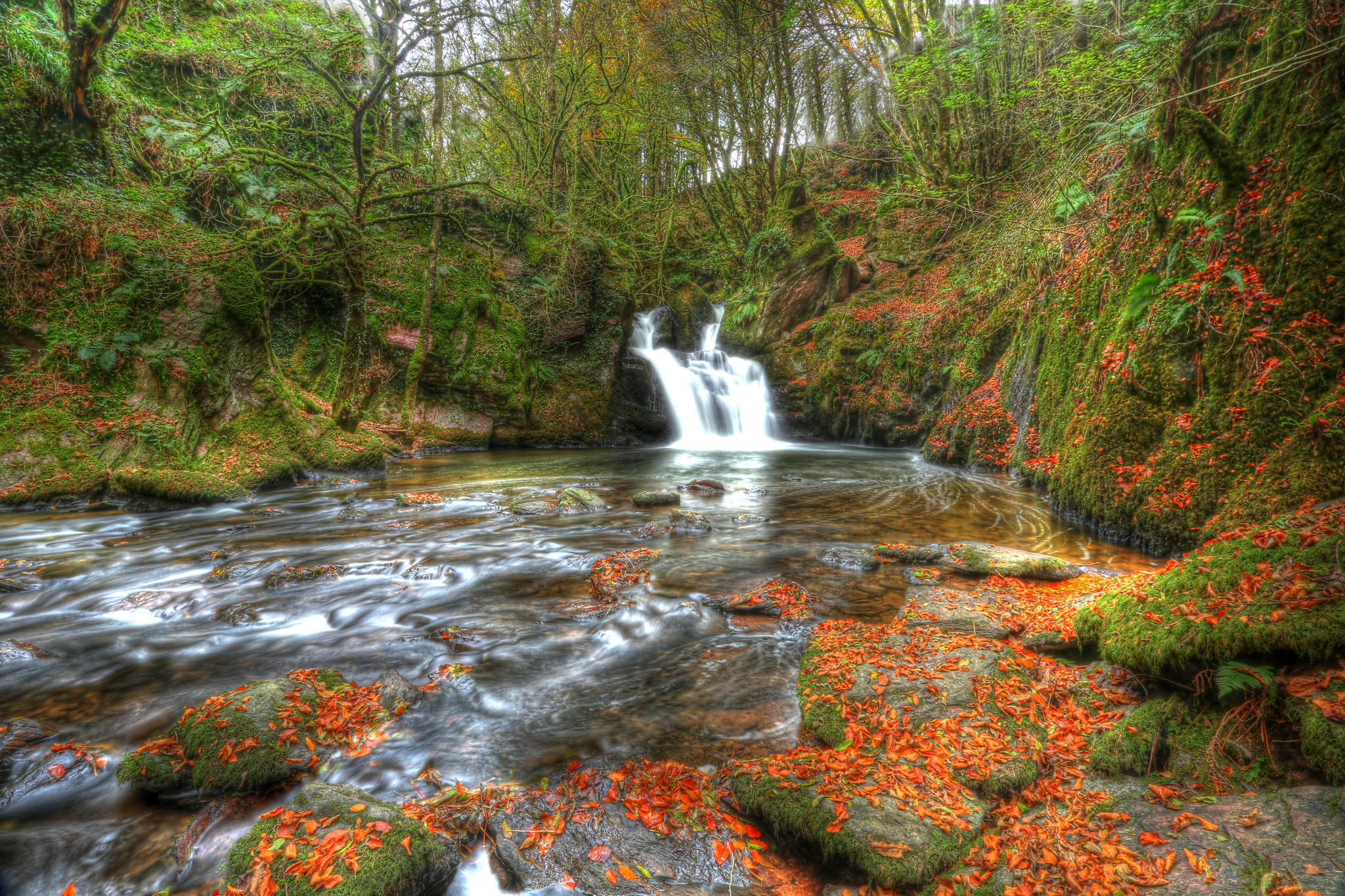 Laden Sie das Herbst, Wasserfälle, Wasserfall, Wald, Baum, Blatt, Erde/natur-Bild kostenlos auf Ihren PC-Desktop herunter