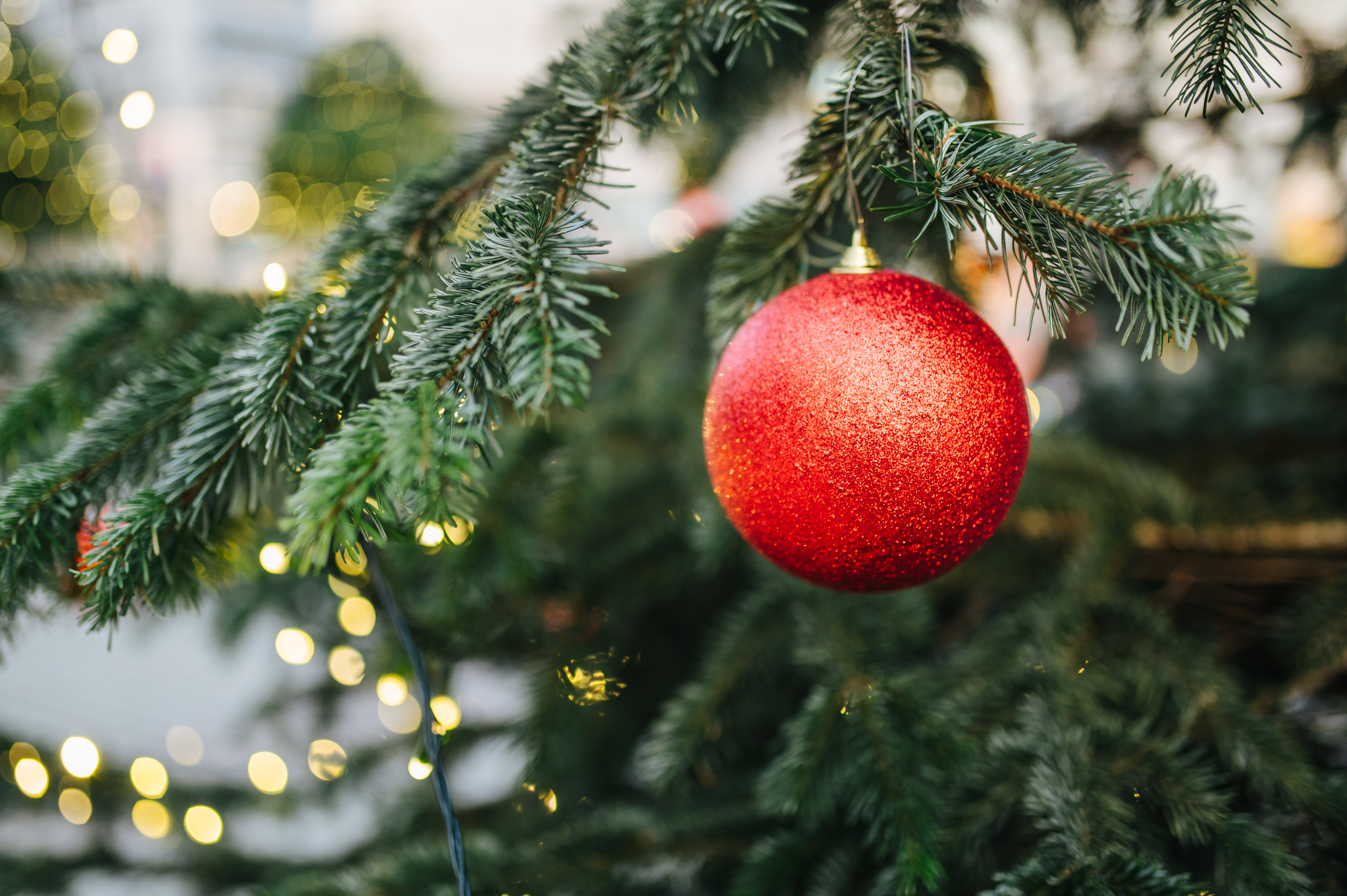 Baixe gratuitamente a imagem Férias, Ano Novo, Bola, Decoração, Árvore De Natal, Natal na área de trabalho do seu PC