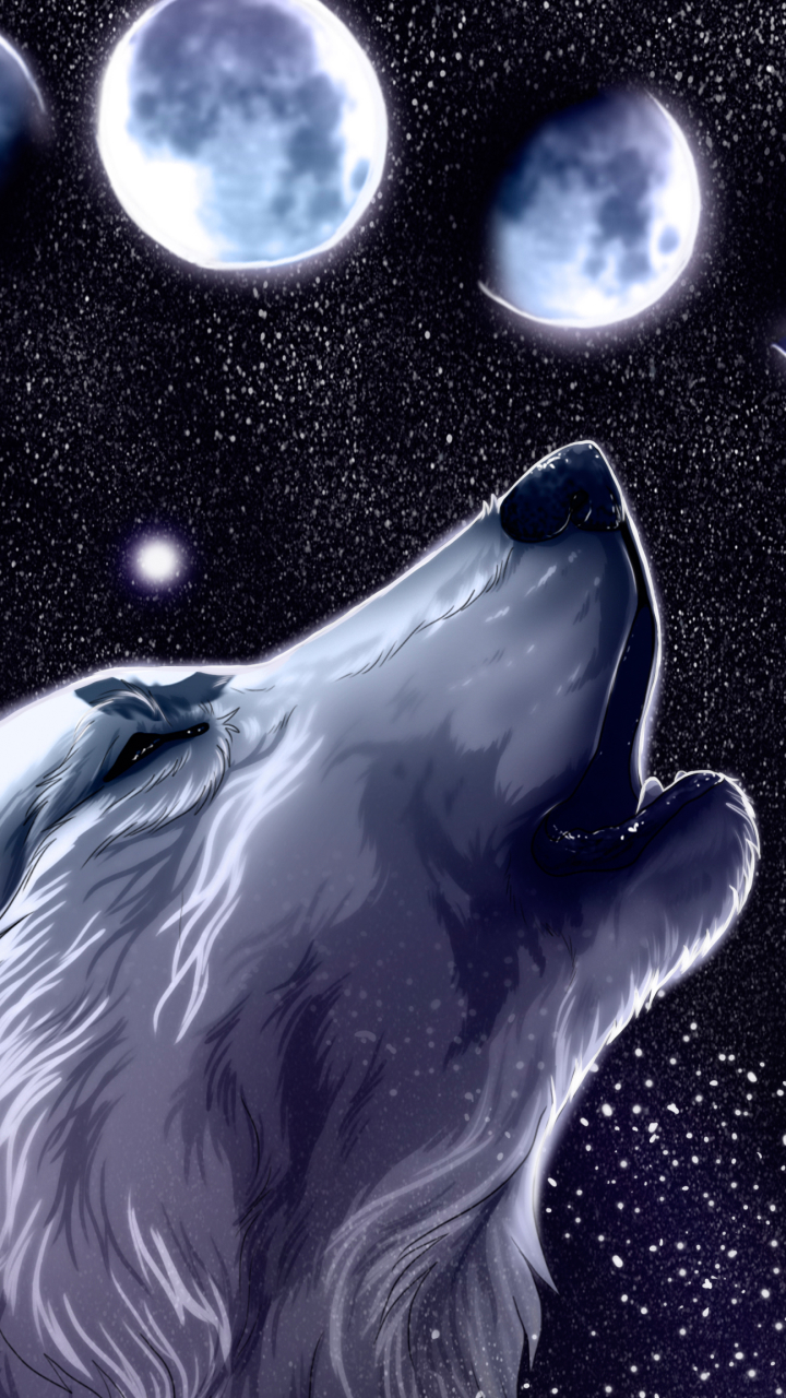 Descarga gratuita de fondo de pantalla para móvil de Animales, Lobo, Wolves.