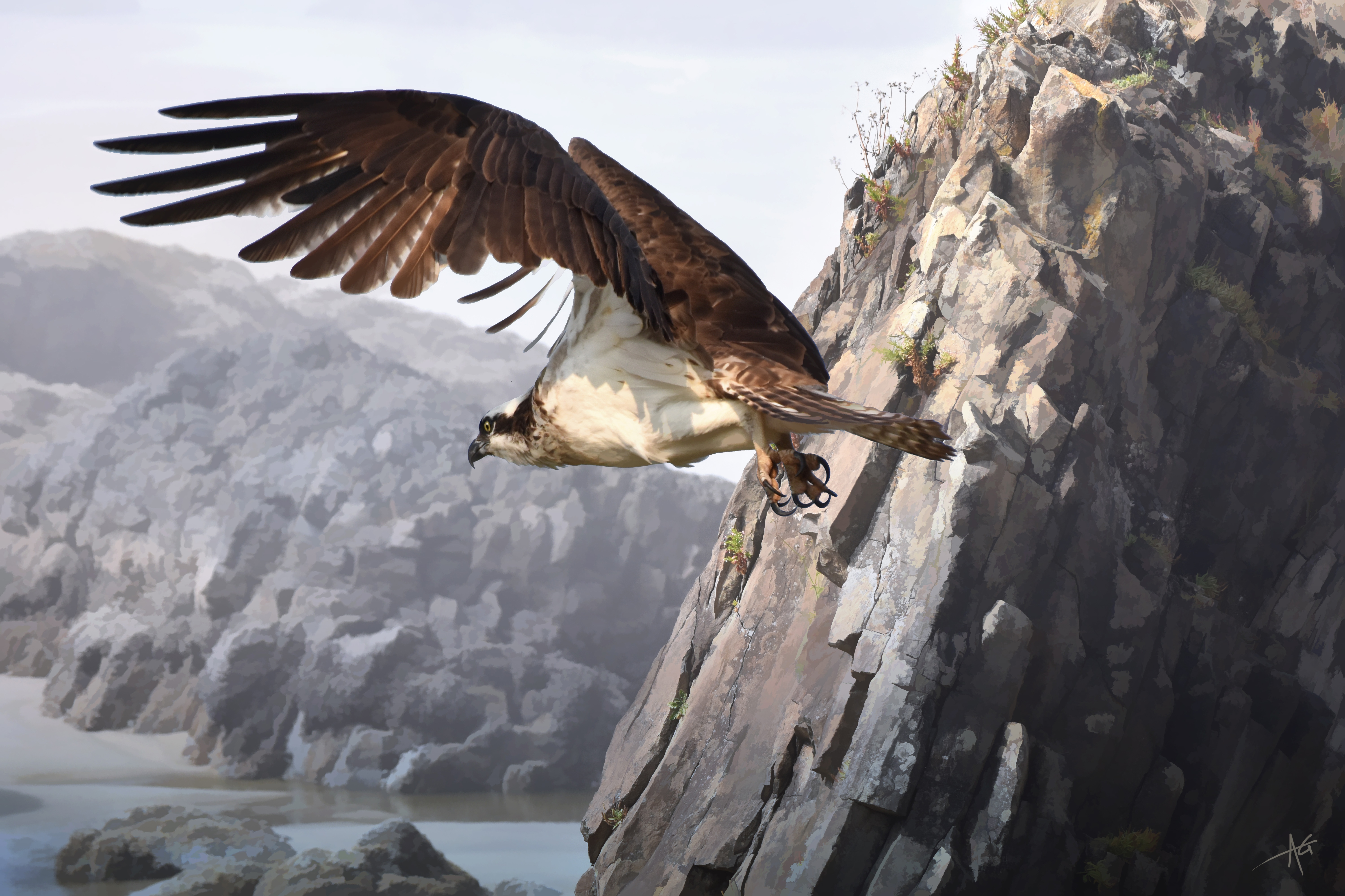 Free download wallpaper Birds, Bird, Animal, Hawk, Bird Of Prey on your PC desktop