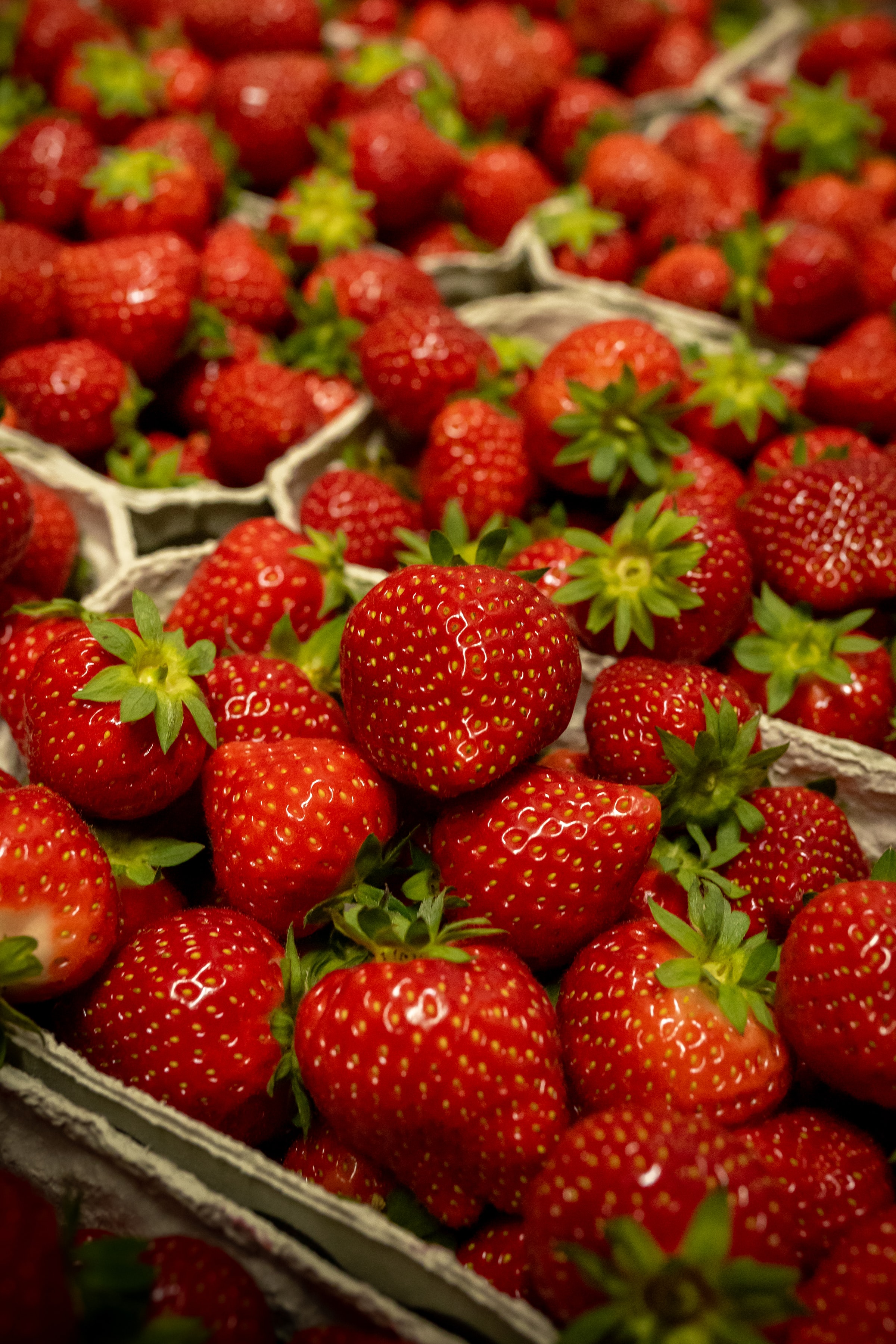 berry, food, strawberry, red, fruit, basket