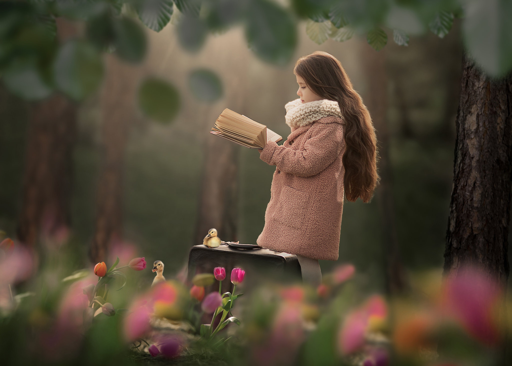 Download mobile wallpaper Book, Child, Tulip, Brunette, Chick, Photography, Suitcase, Long Hair, Depth Of Field for free.