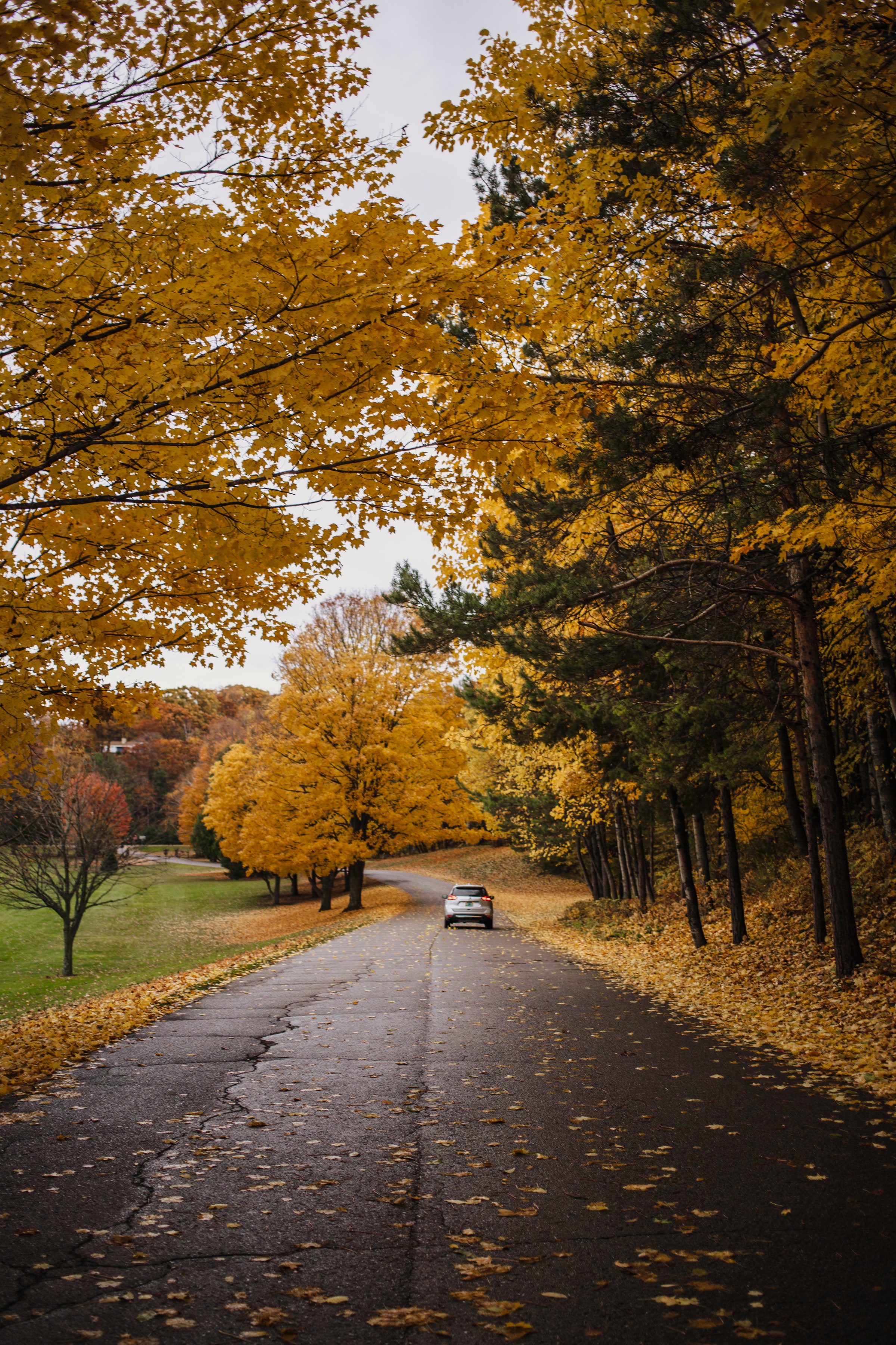 Скачать картинку Природа, Деревья, Дорога, Машина, Осень в телефон бесплатно.