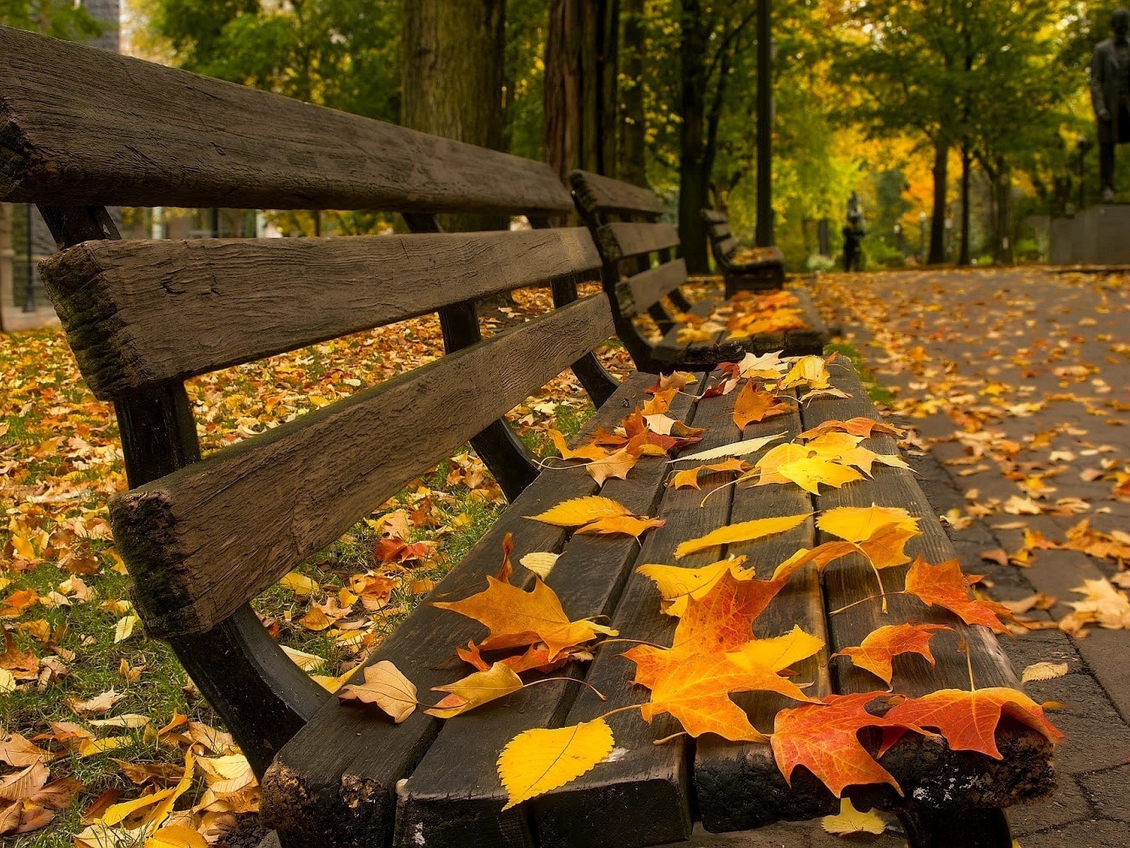 autumn, landscape, leaves High Definition image