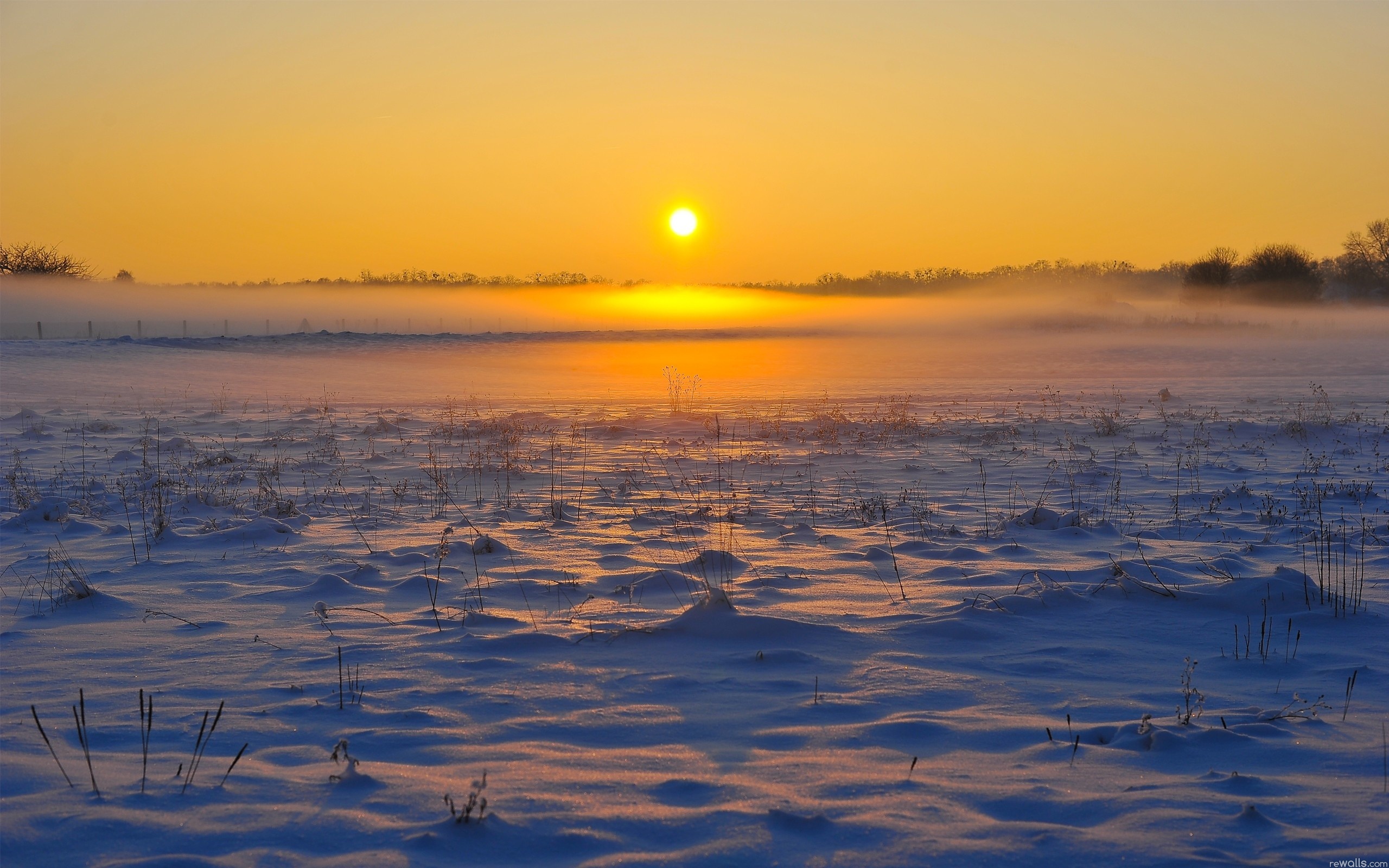 Téléchargez gratuitement l'image Terre/nature, Lever De Soleil sur le bureau de votre PC