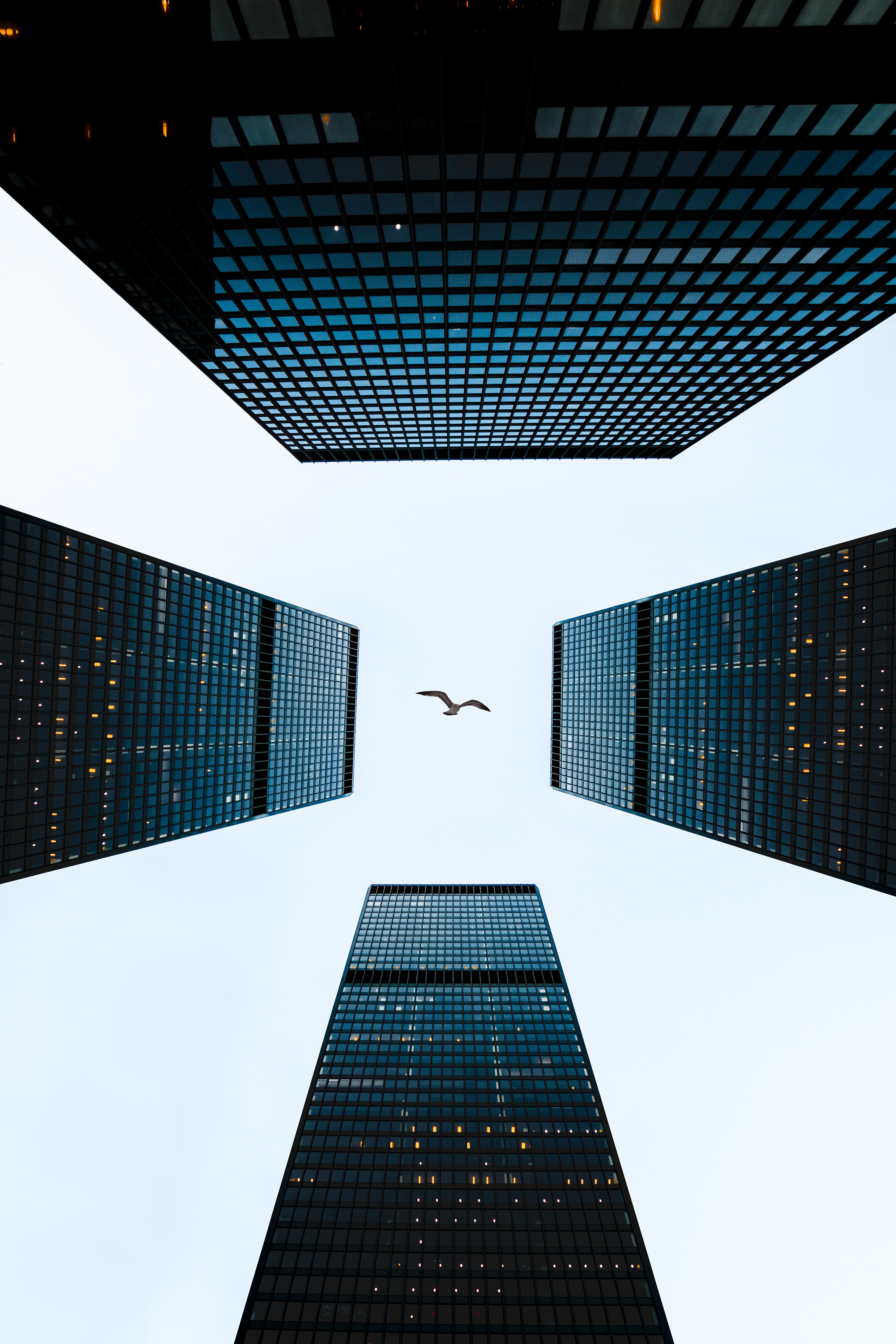 sky, architecture, building, bird, minimalism, skyscrapers, tower, towers