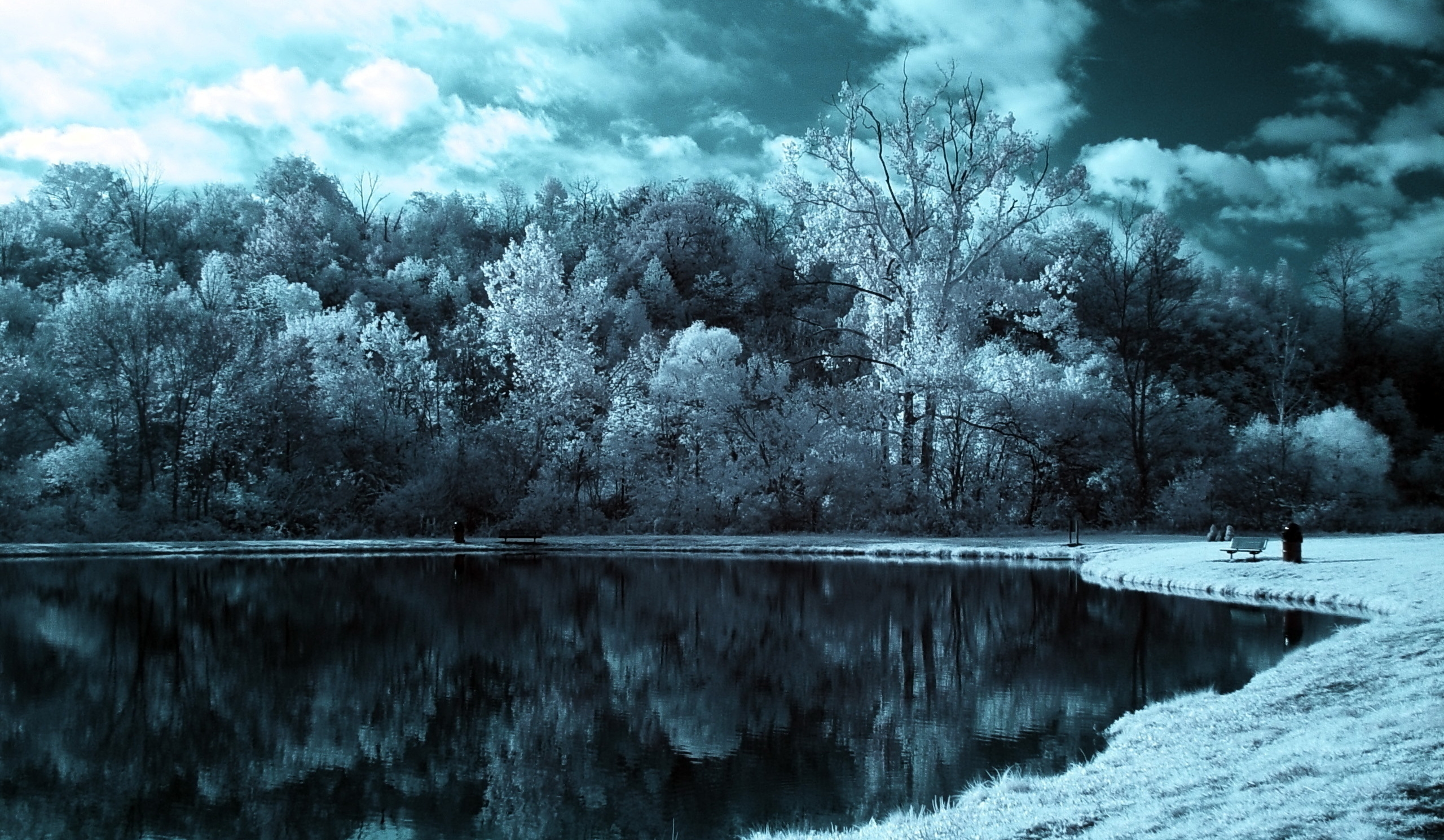 black and white, nature, trees, clouds, lake, gloomy