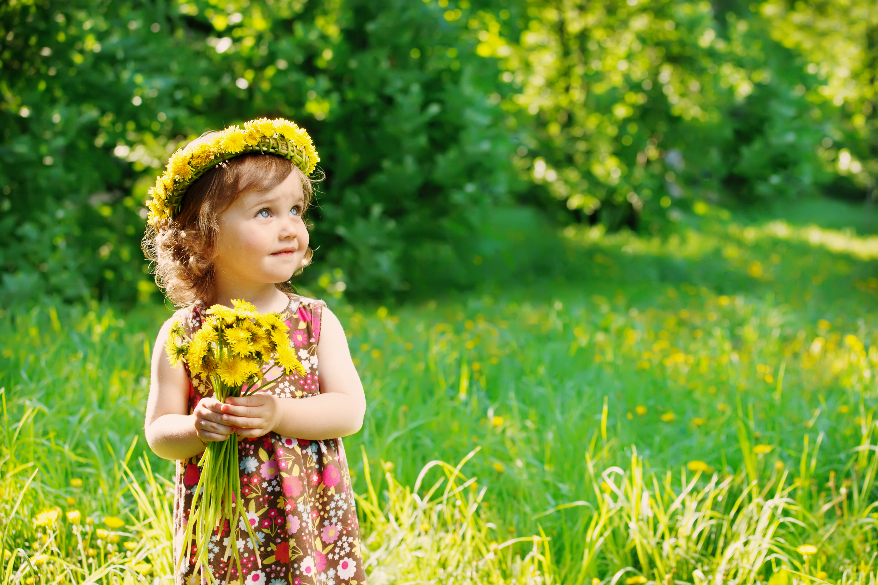 Téléchargez des papiers peints mobile Été, Fleur, Couronne, Enfant, Pissenlit, Photographie, Petite Fille gratuitement.