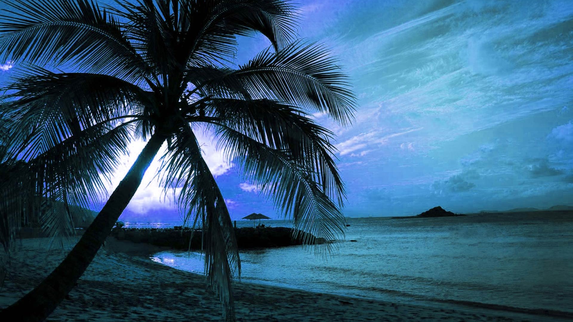 Download mobile wallpaper Sky, Horizon, Ocean, Earth, Dusk, Tropical, Palm Tree, Seascape for free.
