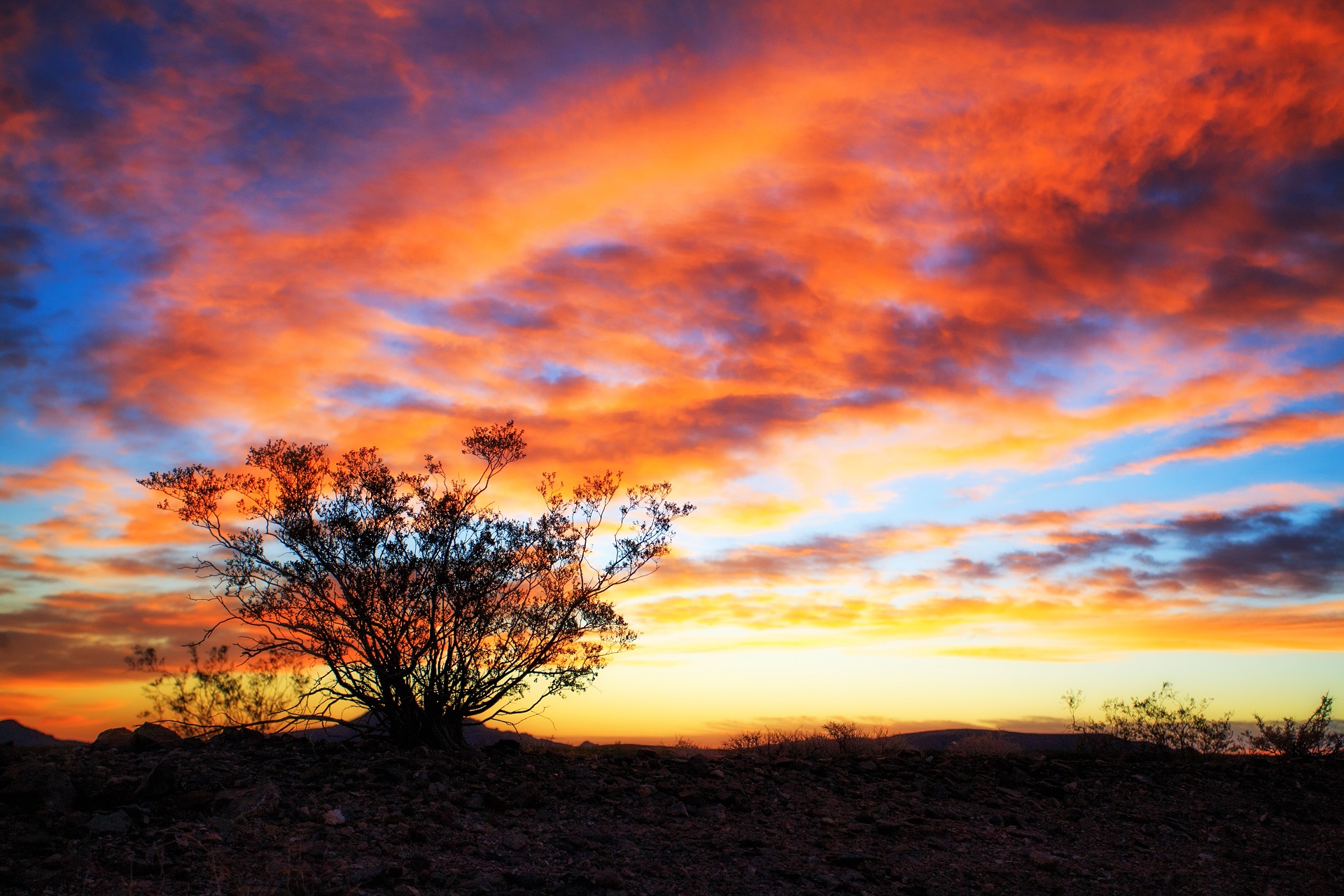 Descarga gratuita de fondo de pantalla para móvil de Naturaleza, Amanecer, Tierra/naturaleza.