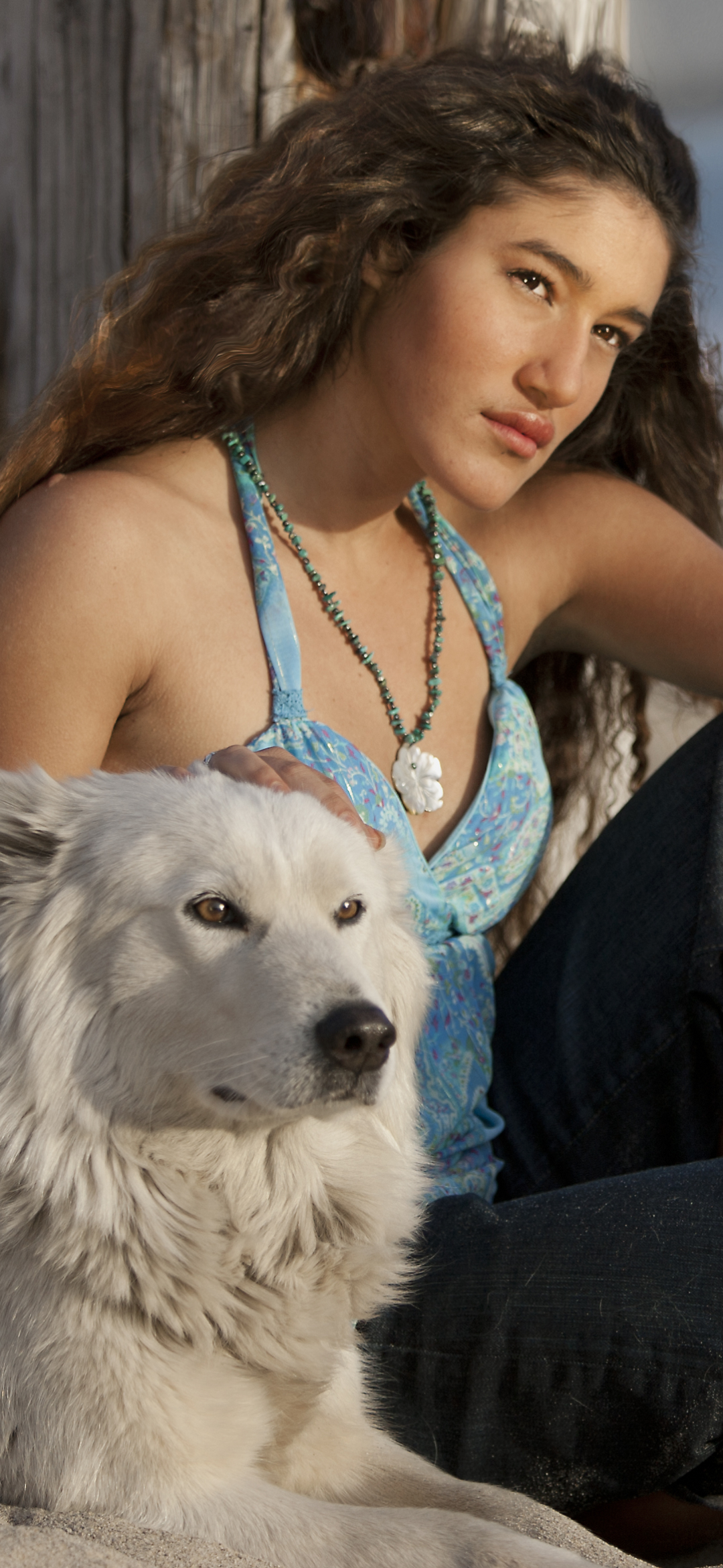 無料モバイル壁紙犬, シベリアンハスキー, 有名人, 女優, オリアンカ・キルチャーをダウンロードします。