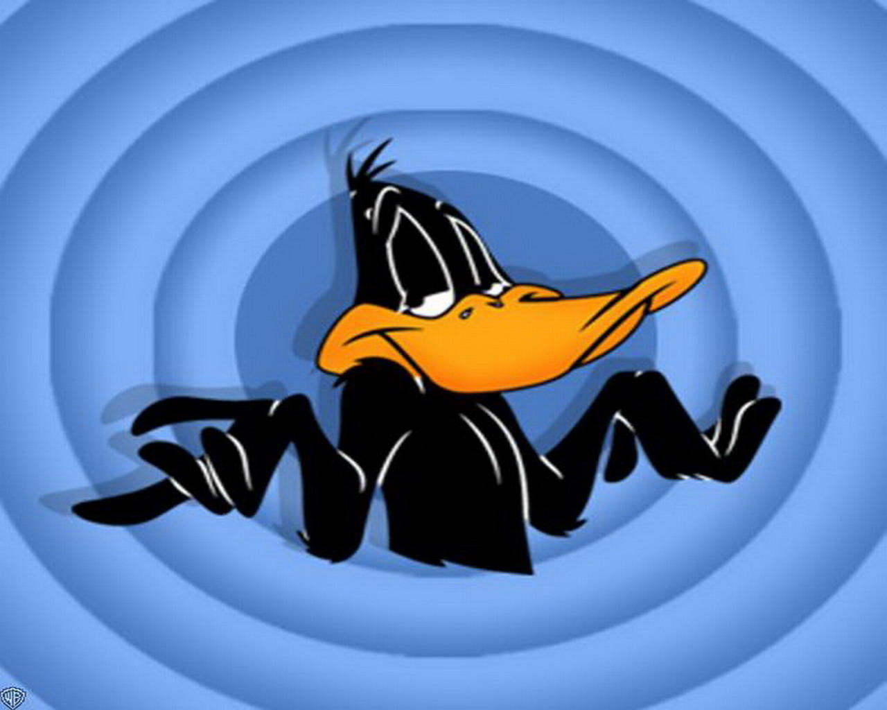 daffy duck, tv show, looney tunes