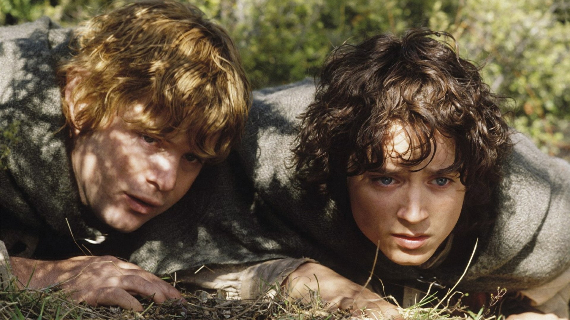 movie, the lord of the rings: the two towers, elijah wood, frodo baggins, lord of the rings, samwise gamgee