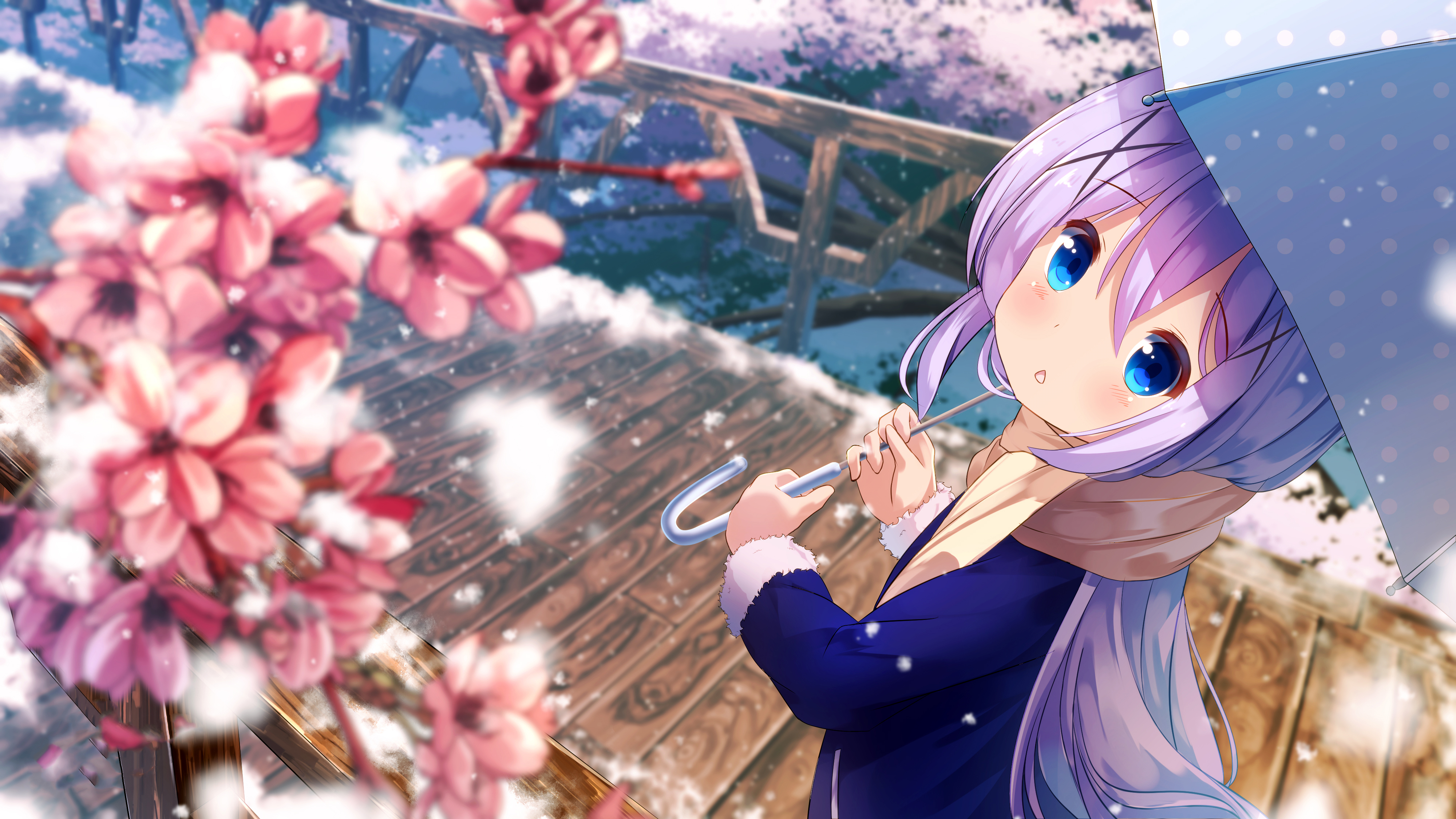 anime, is the order a rabbit?, blue eyes, blush, chino kafū, face, purple hair, scarf