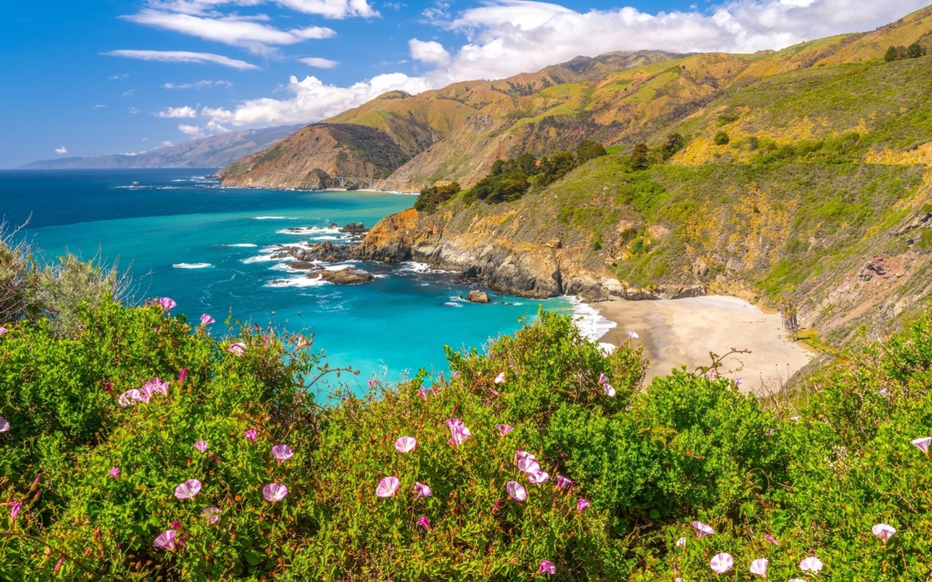 Laden Sie das Blume, Küste, Ozean, Erde/natur-Bild kostenlos auf Ihren PC-Desktop herunter