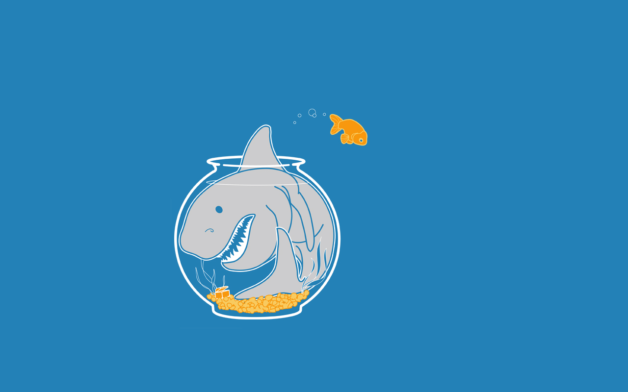 Download mobile wallpaper Shark, Humor for free.