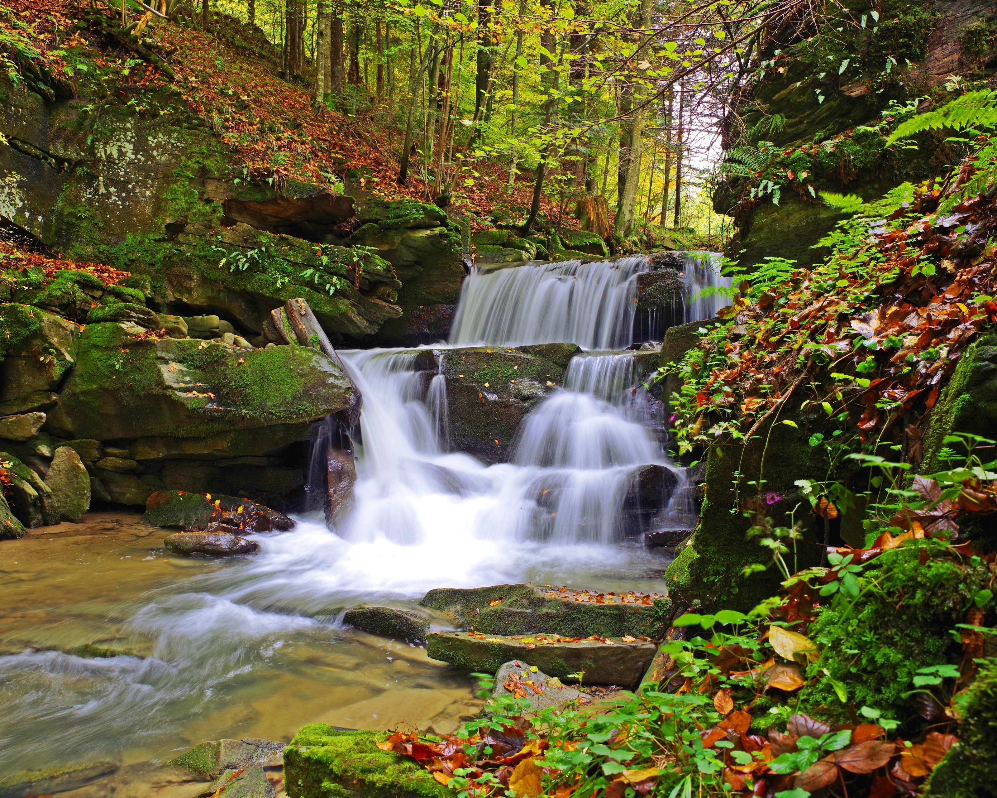 Téléchargez gratuitement l'image Flux, La Nature, Terre/nature sur le bureau de votre PC