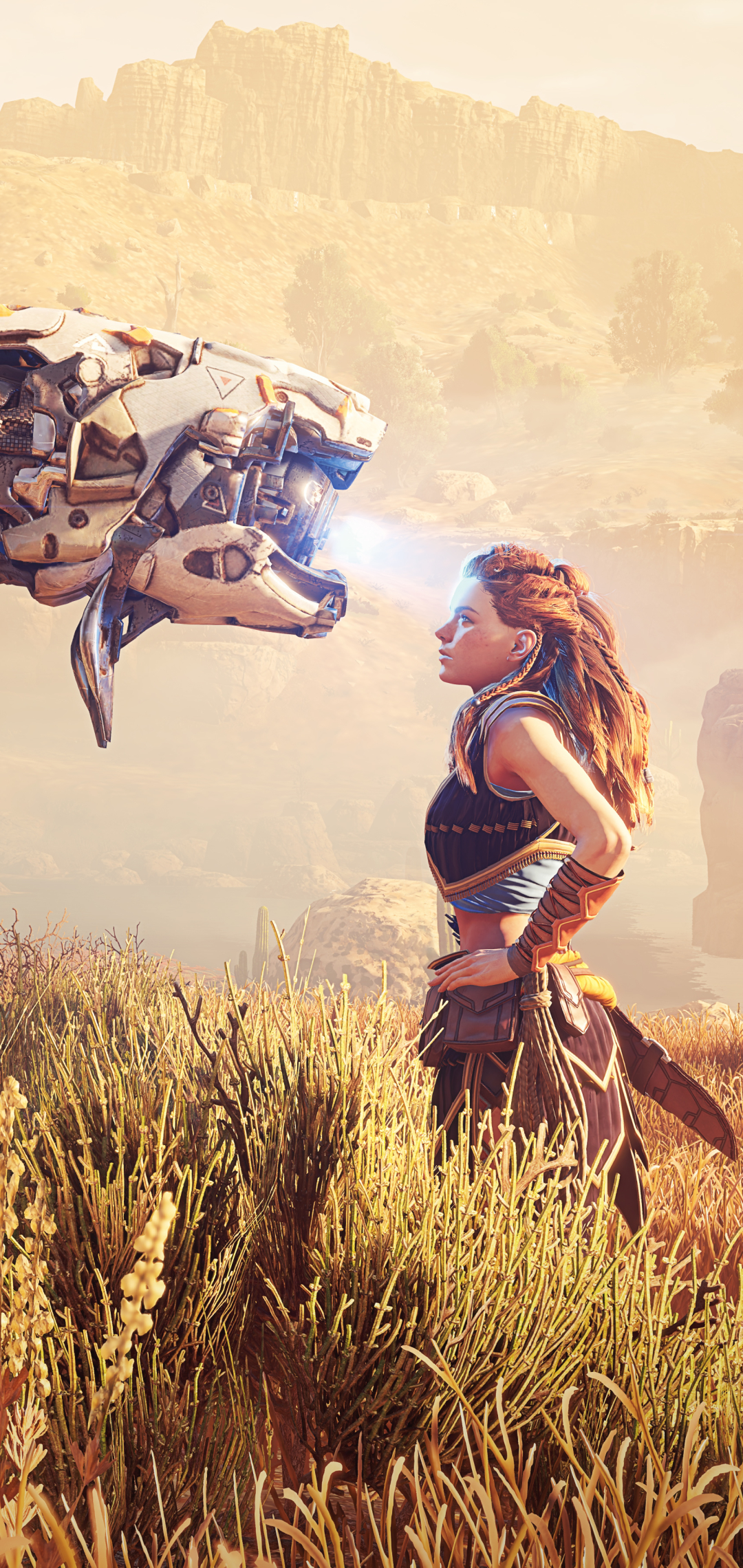 Handy-Wallpaper Computerspiele, Horizon Zero Dawn, Aloy (Horizon Serie) kostenlos herunterladen.