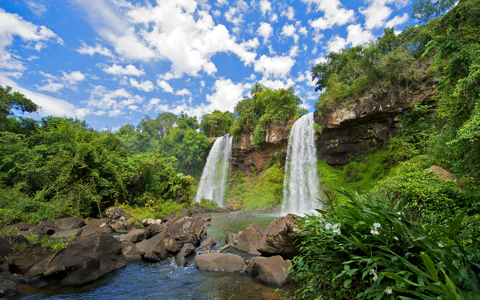 379418 скачать обои земля/природа, водопады игуасу, лес, зеленый, дерево, водопад, водопады - заставки и картинки бесплатно