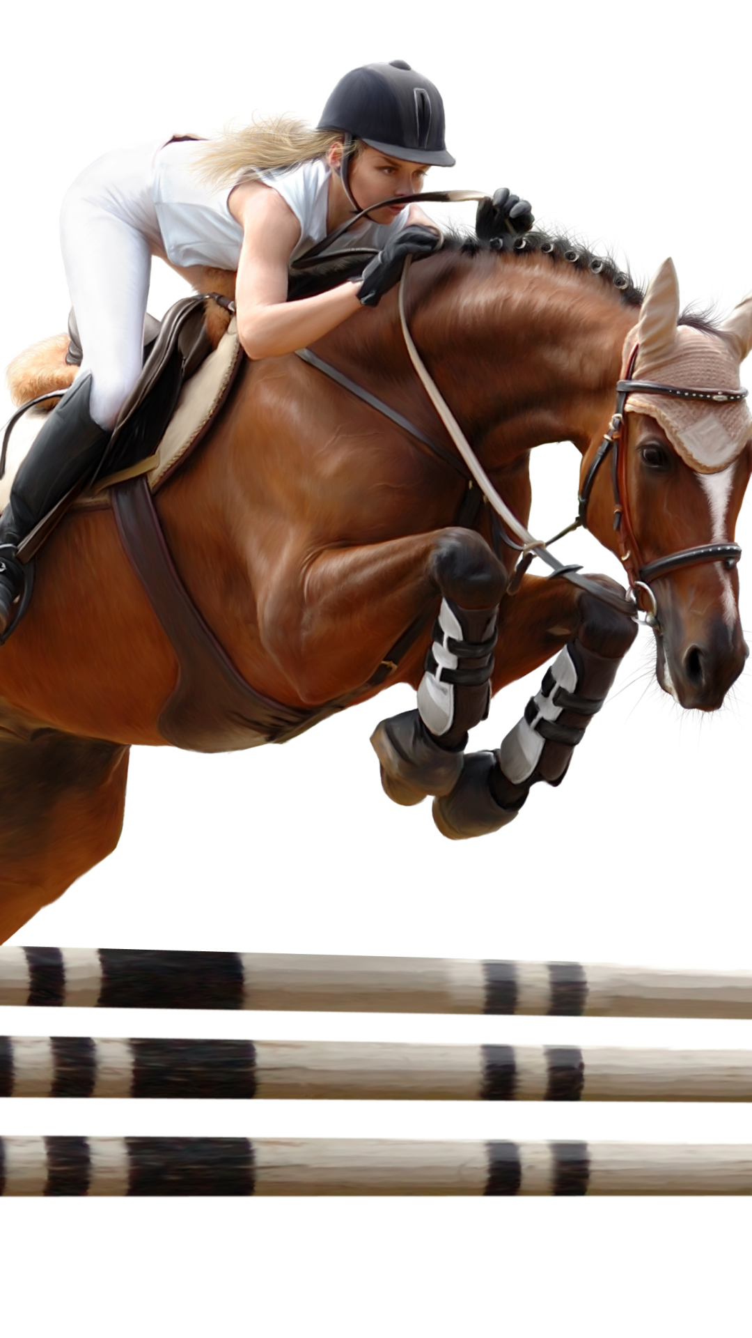 sports, show jumping