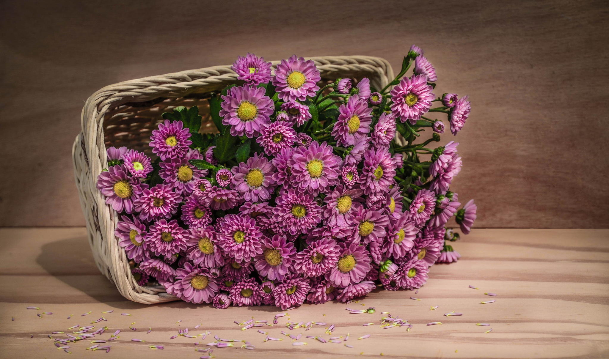 Free download wallpaper Basket, Petals, Flowers on your PC desktop