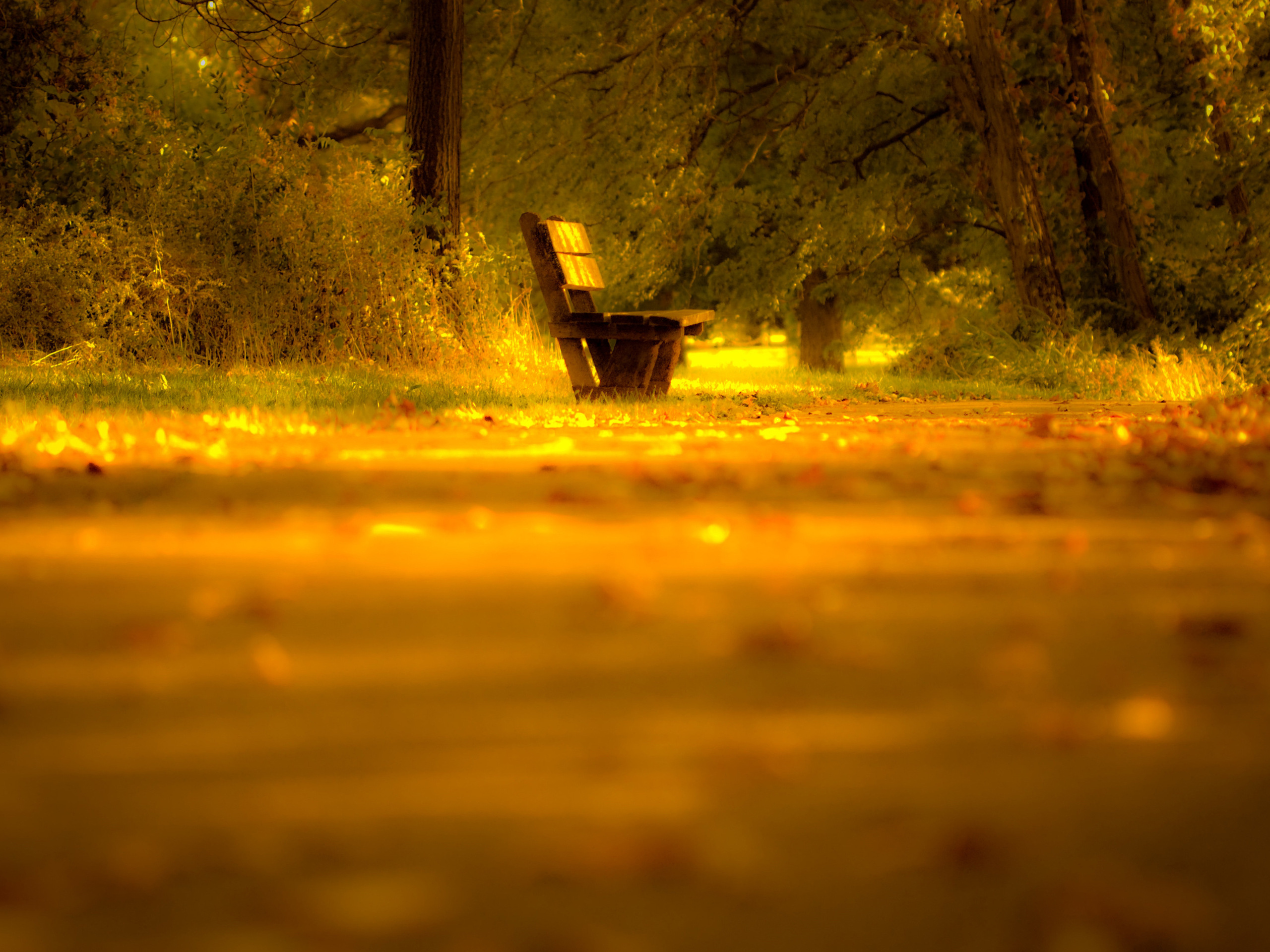 Free download wallpaper Fall, Path, Bench, Mood, Man Made on your PC desktop