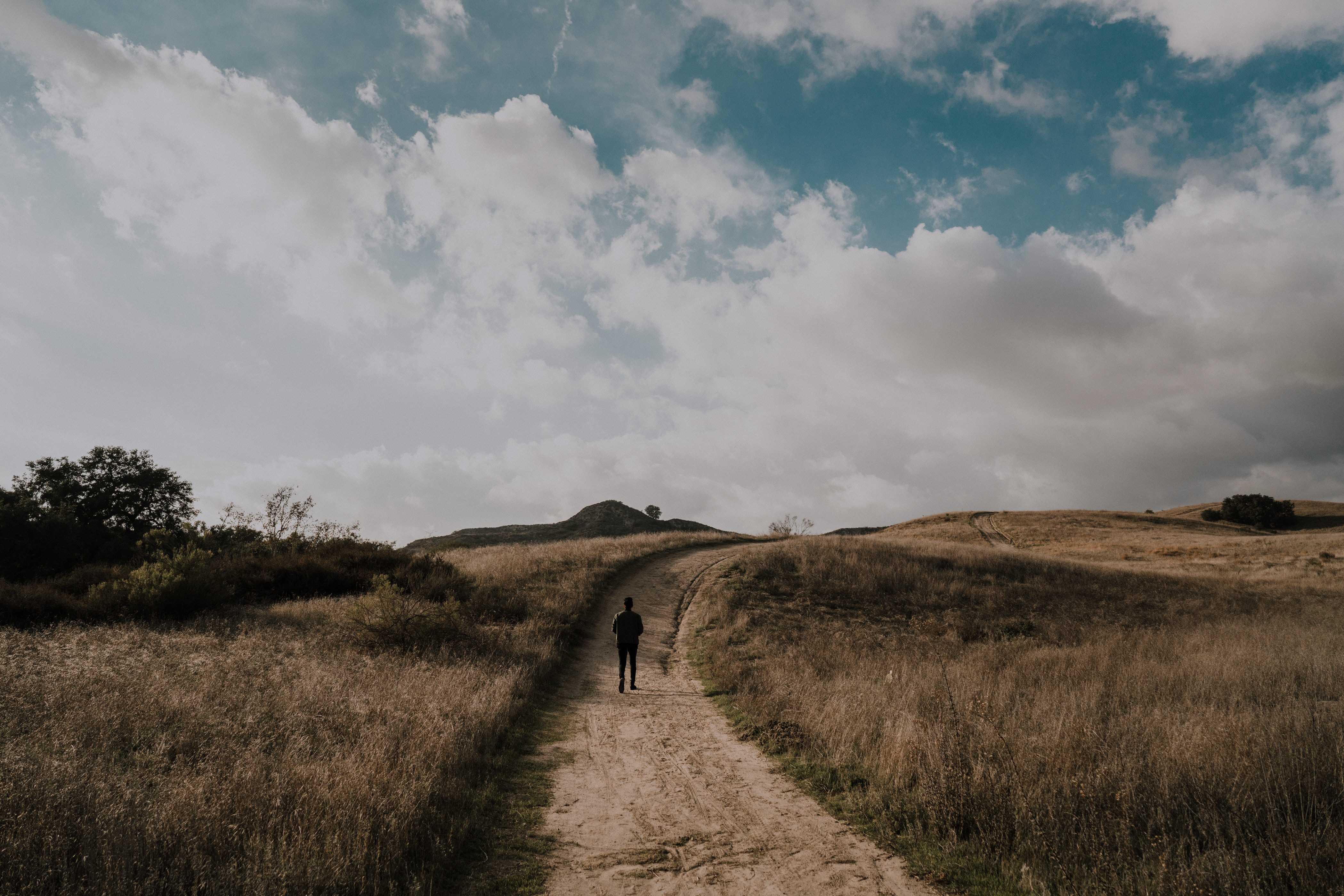 person, nature, grass, clouds, path, stroll, human 4K, Ultra HD