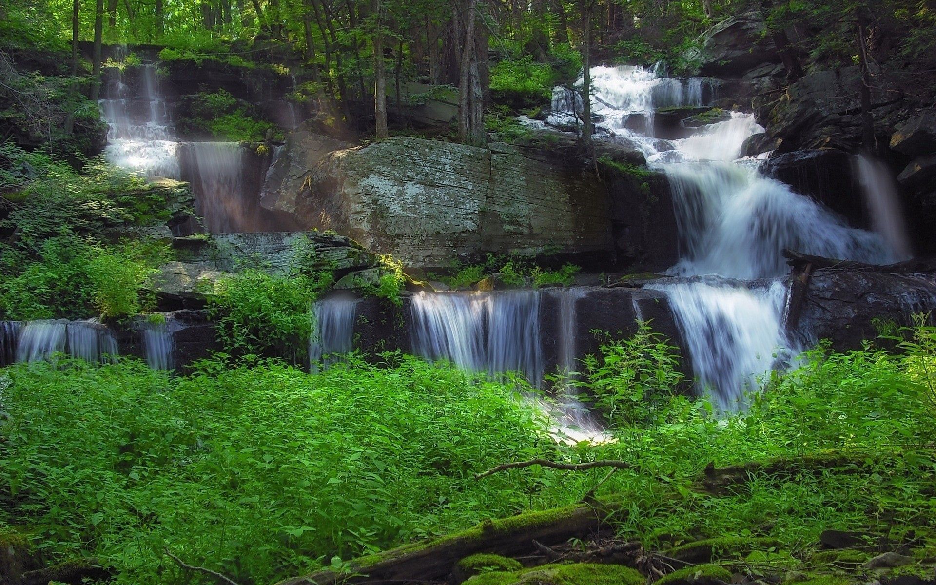 Laden Sie das Vegetation, Natur, Wald, Wasserfall-Bild kostenlos auf Ihren PC-Desktop herunter