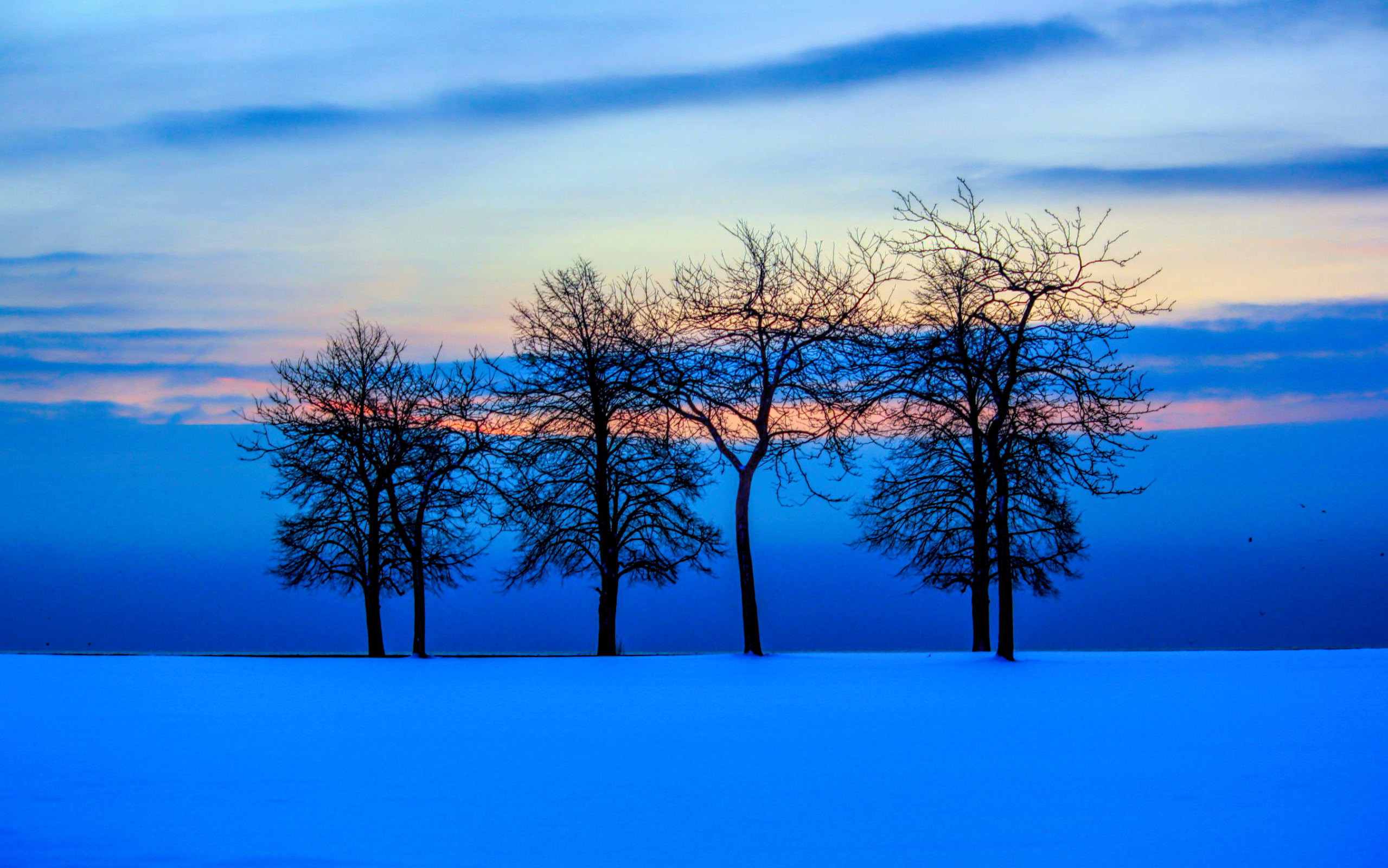 PCデスクトップに冬, 木, 日没, 雪, 青い, 地球画像を無料でダウンロード