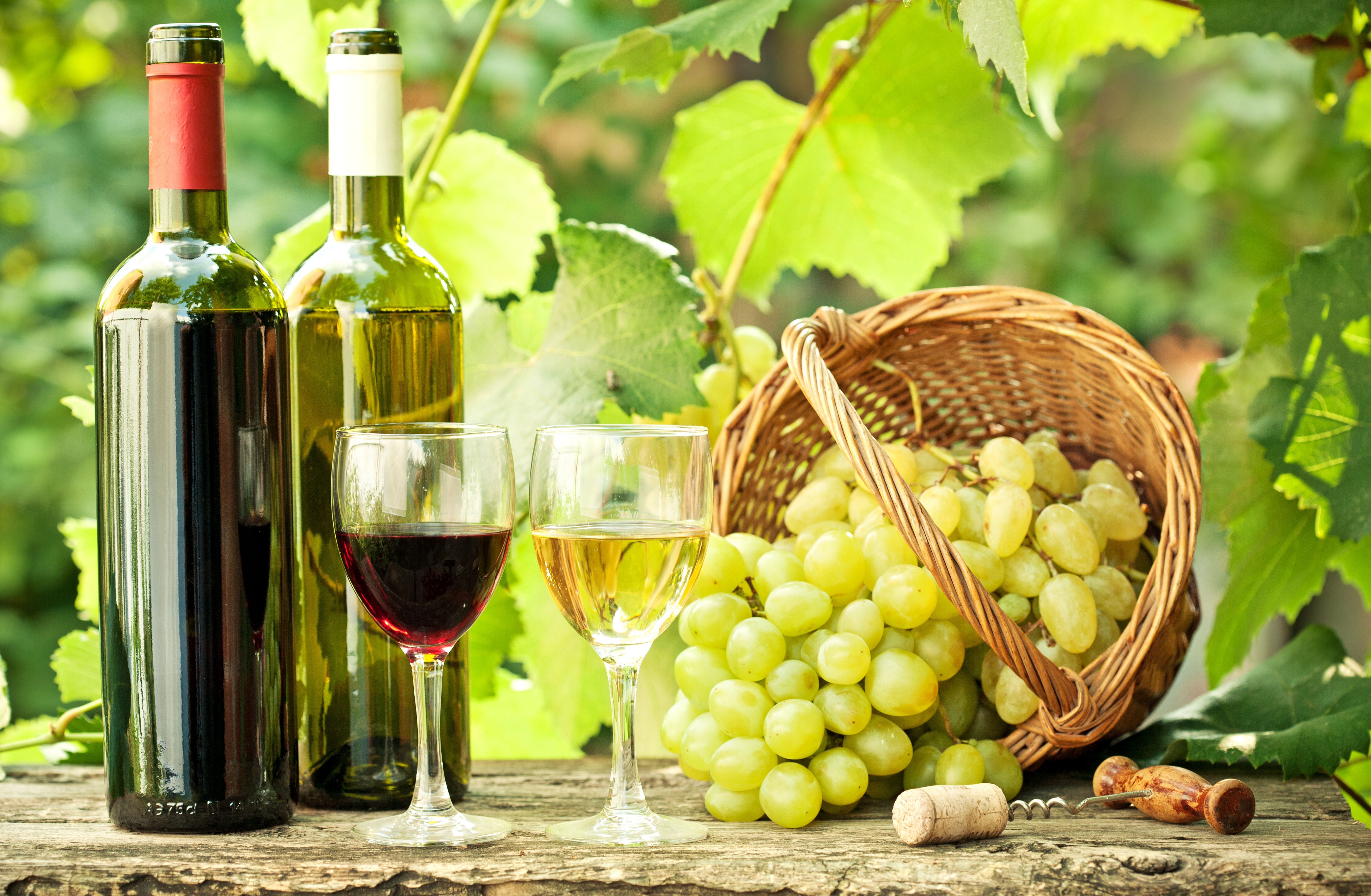 Download mobile wallpaper Food, Wine for free.