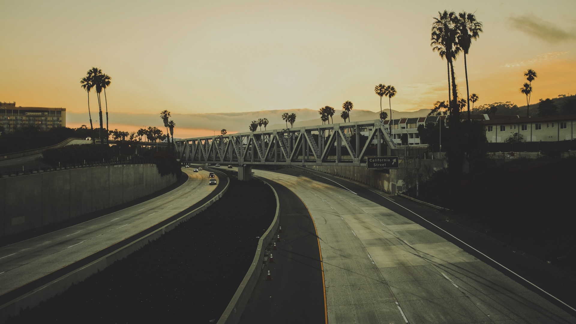 california, man made, road, bridge, freeway, palm tree