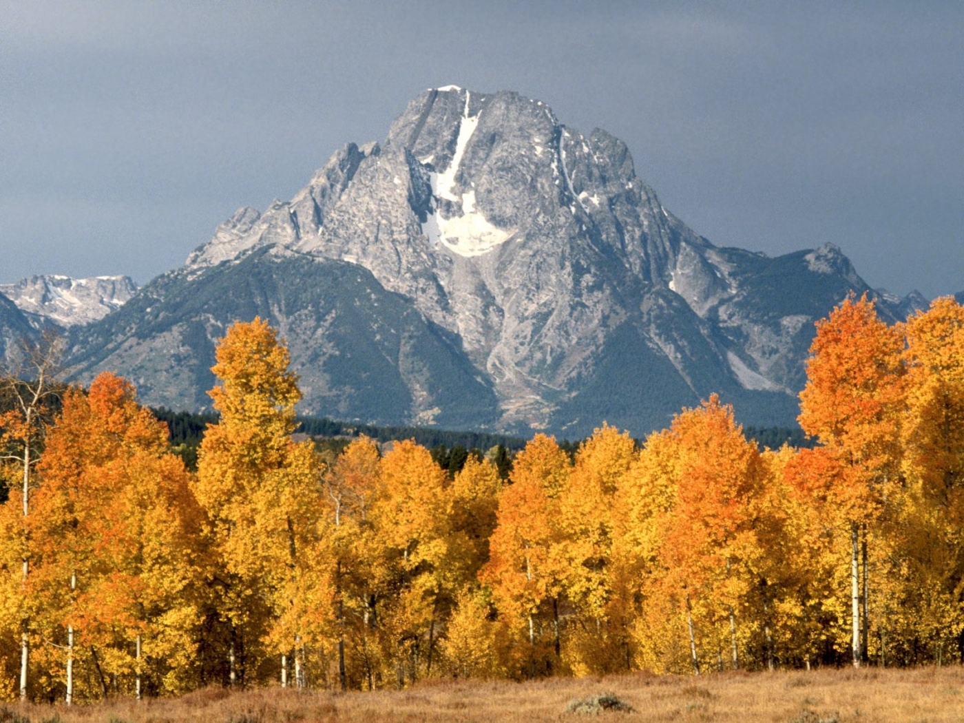 無料モバイル壁紙木, 山脈, 風景, 秋をダウンロードします。