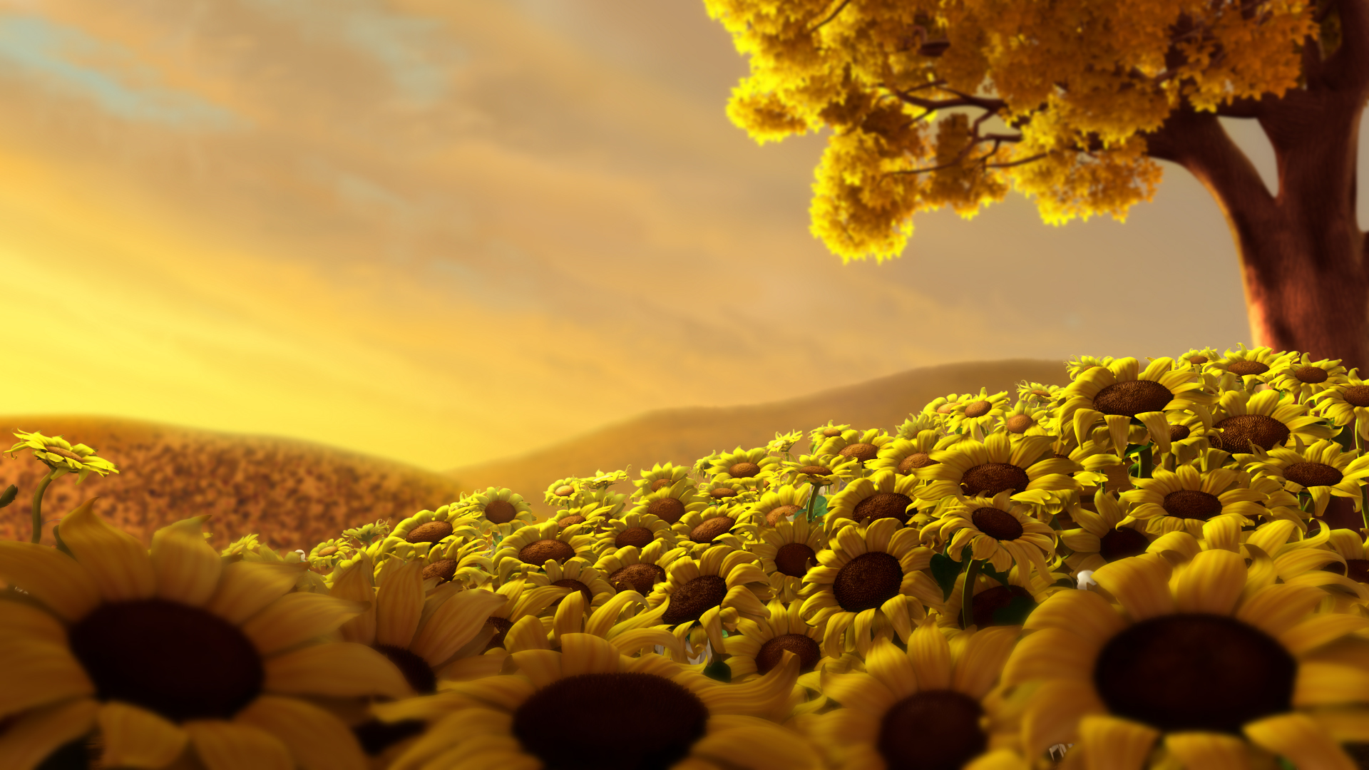 Laden Sie das Blumen, Hintergrund, Sonnenblumen-Bild kostenlos auf Ihren PC-Desktop herunter